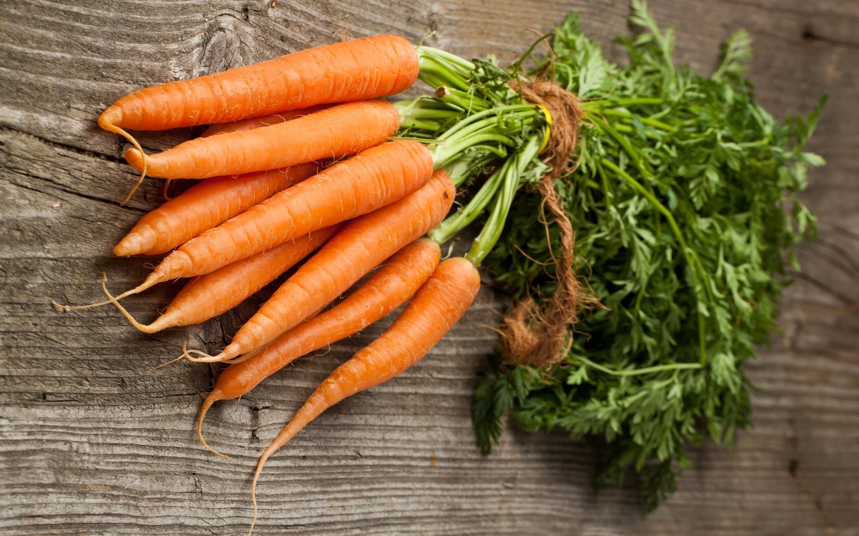 Awesome Carrot free background ID:89964 for hd 1680x1050 PC