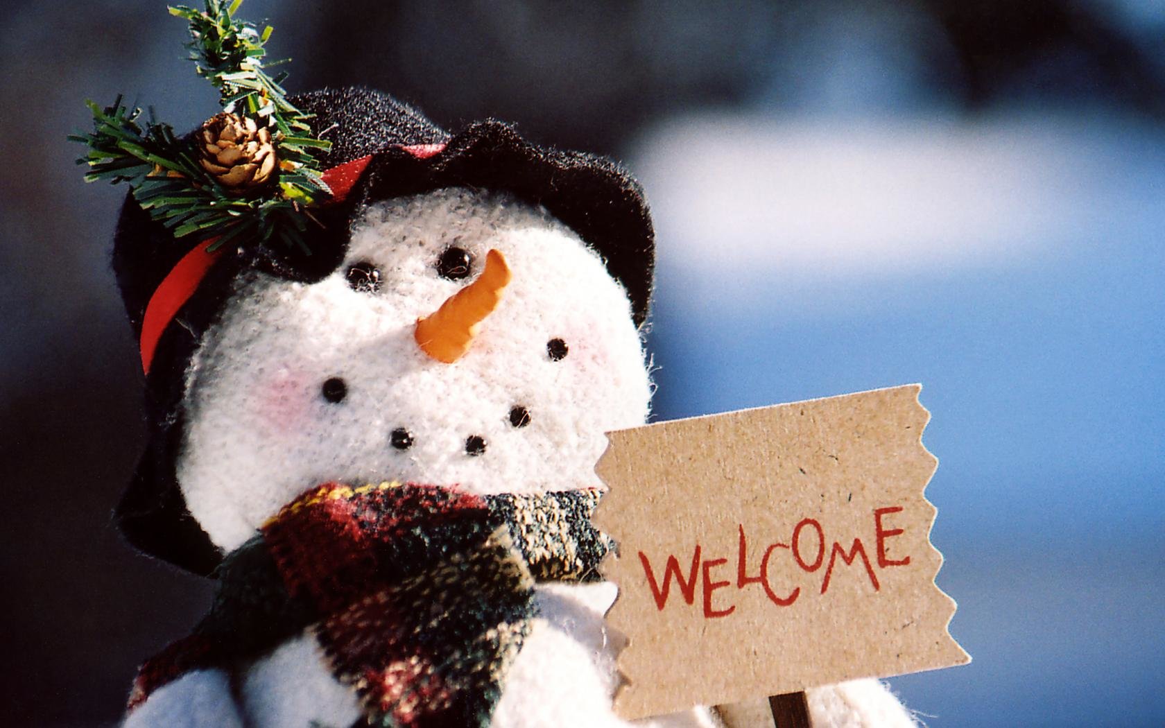 Awesome Snowman free background ID:115568 for hd 1680x1050 computer