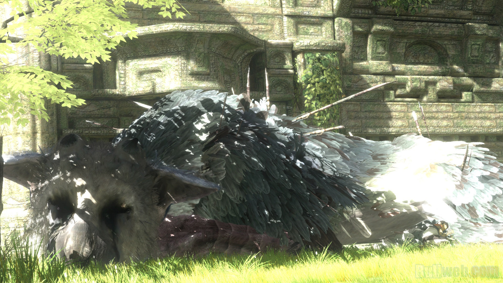 Awesome The Last Guardian free wallpaper ID:229629 for full hd 1920x1080 computer