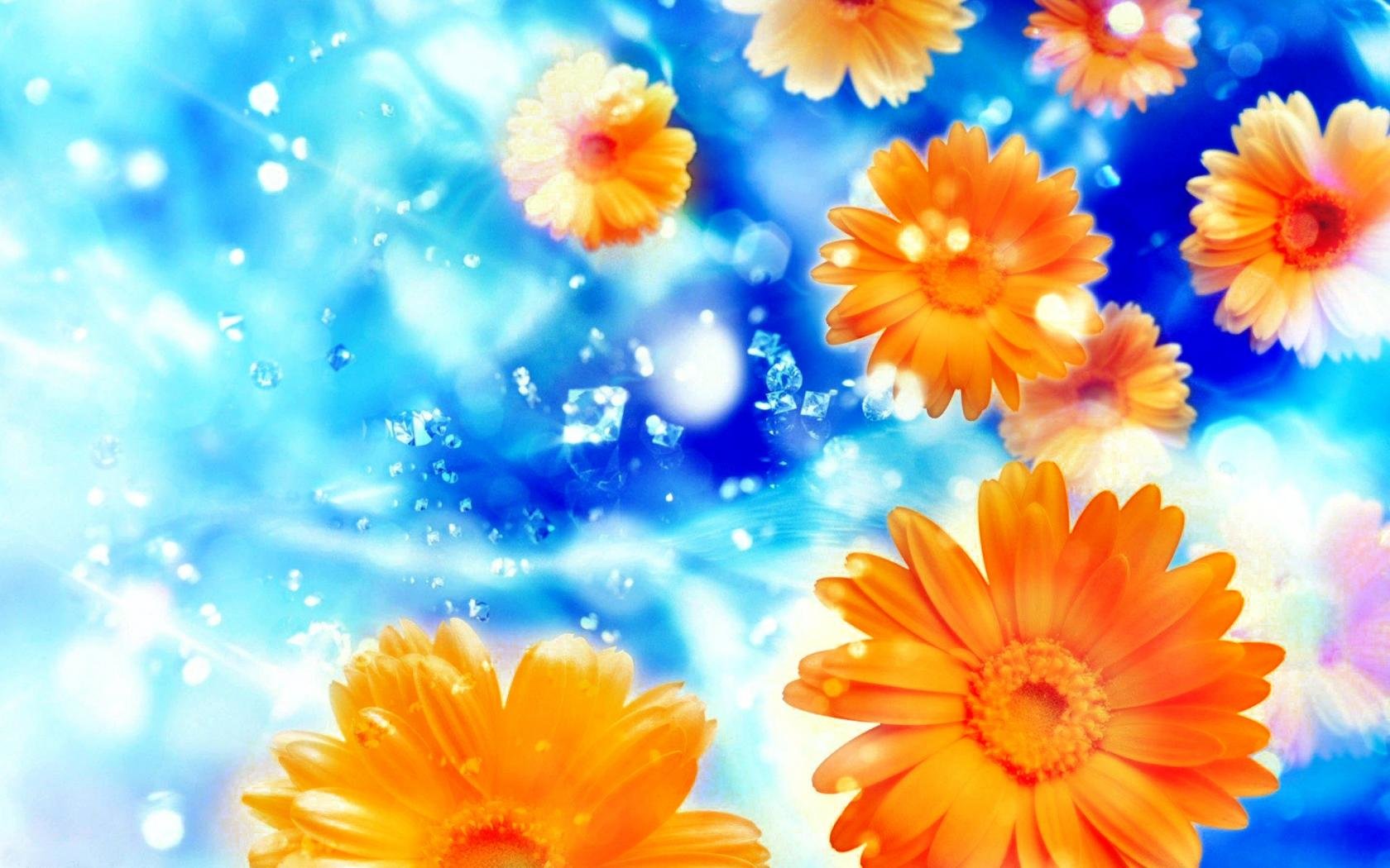 Download hd 1680x1050 Flower desktop wallpaper ID:285770 for free