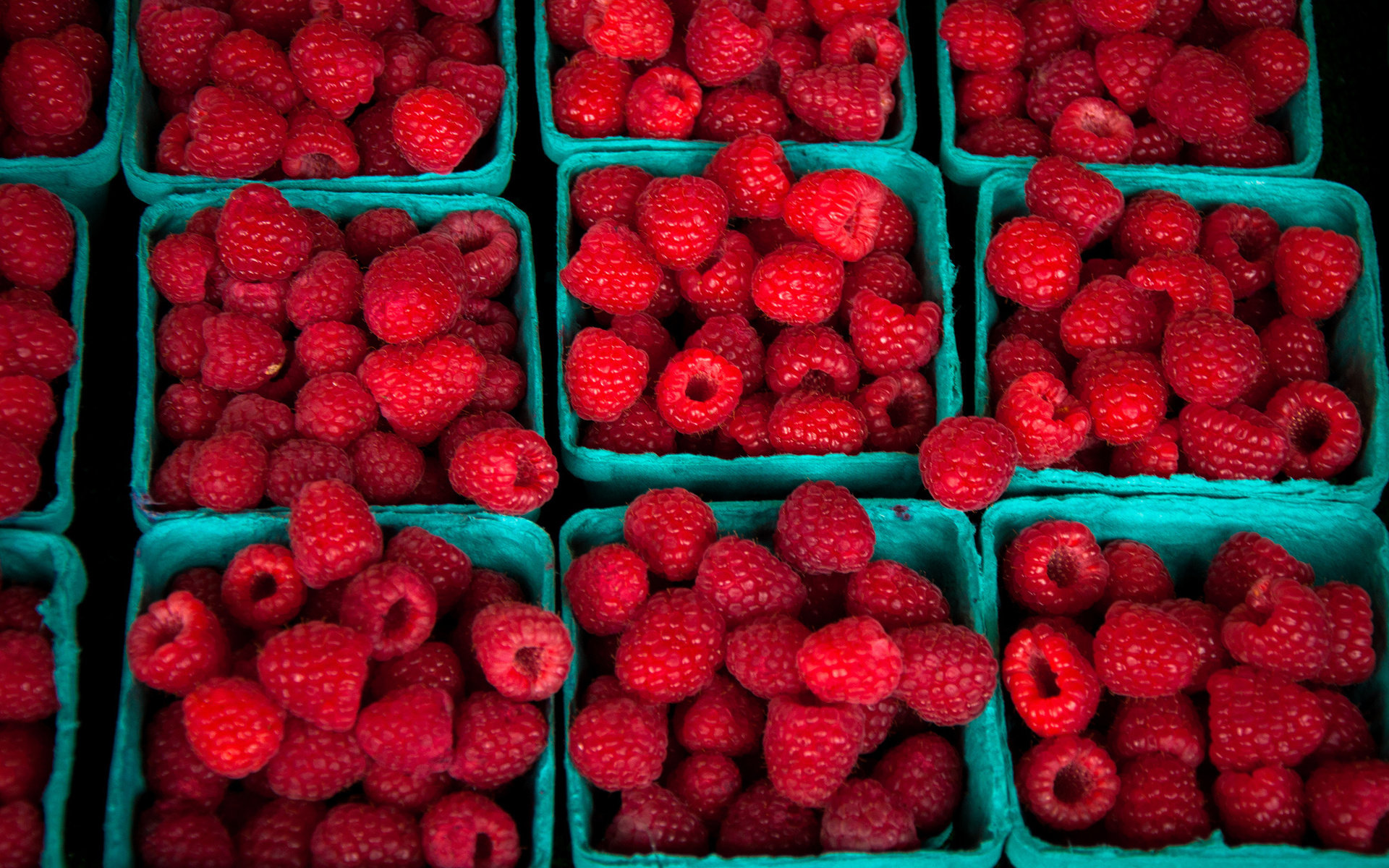 High resolution Raspberry hd 1920x1200 background ID:50101 for PC