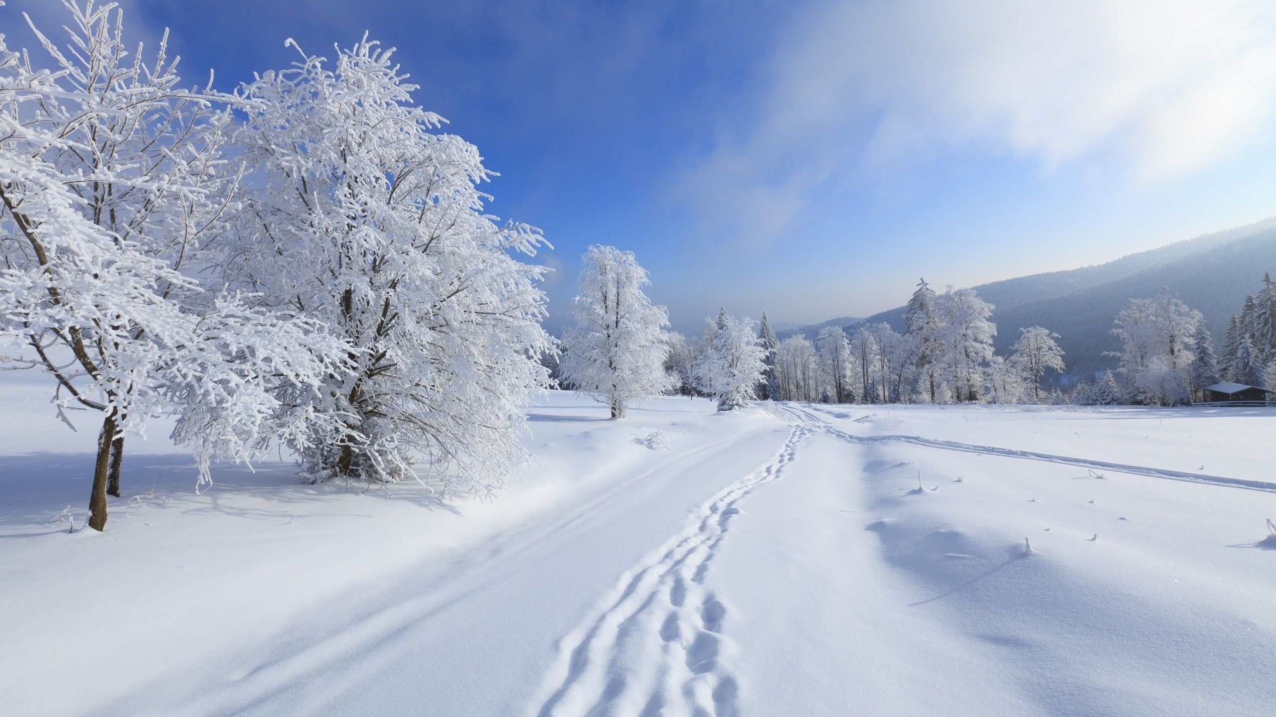 Awesome Winter free wallpaper ID:250764 for hd 2560x1440 PC