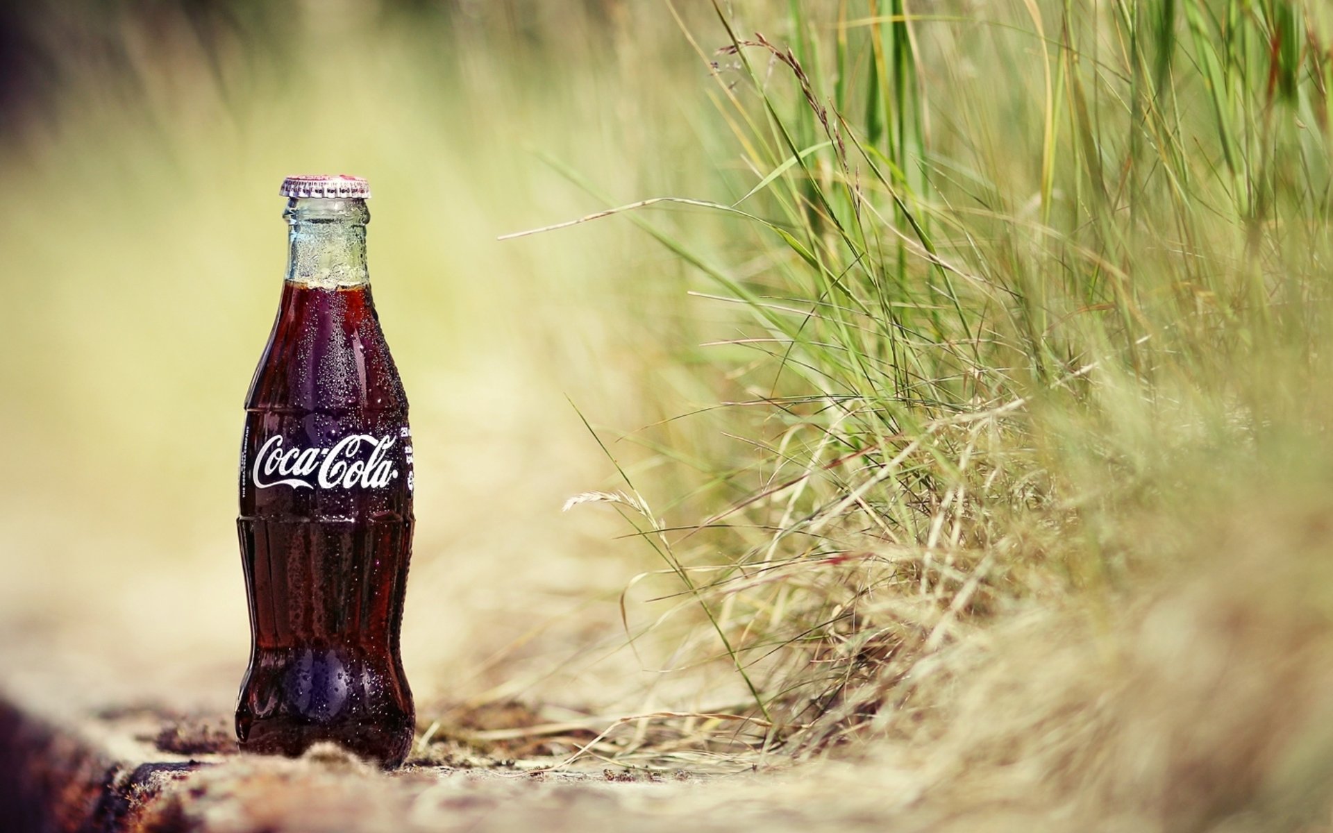 Best Coca Cola wallpaper ID:456854 for High Resolution hd 1920x1200 computer