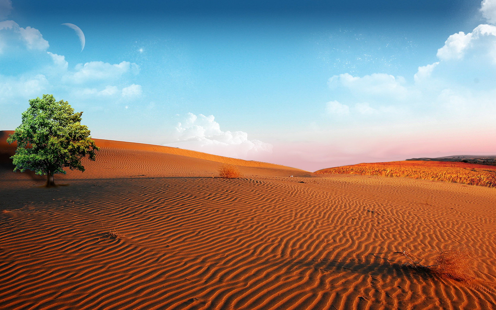 Free Desert high quality background ID:225912 for hd 1680x1050 PC