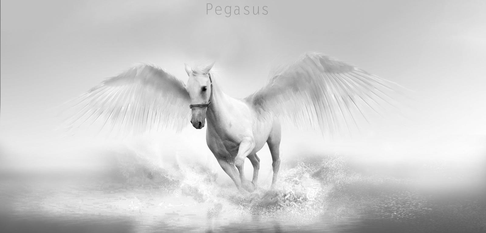 Awesome Pegasus free wallpaper ID:270871 for hd 1600x768 desktop
