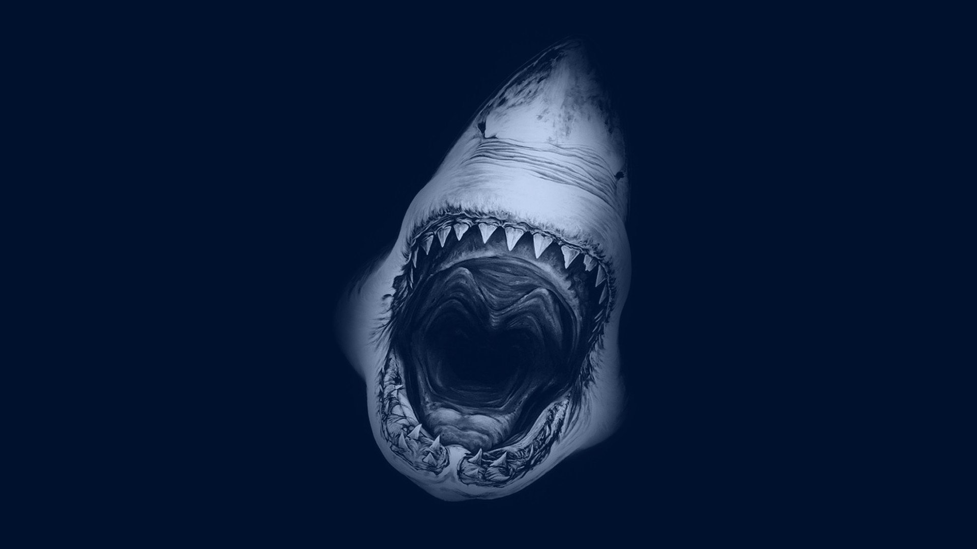 Free Shark high quality background ID:180547 for hd 1920x1080 computer