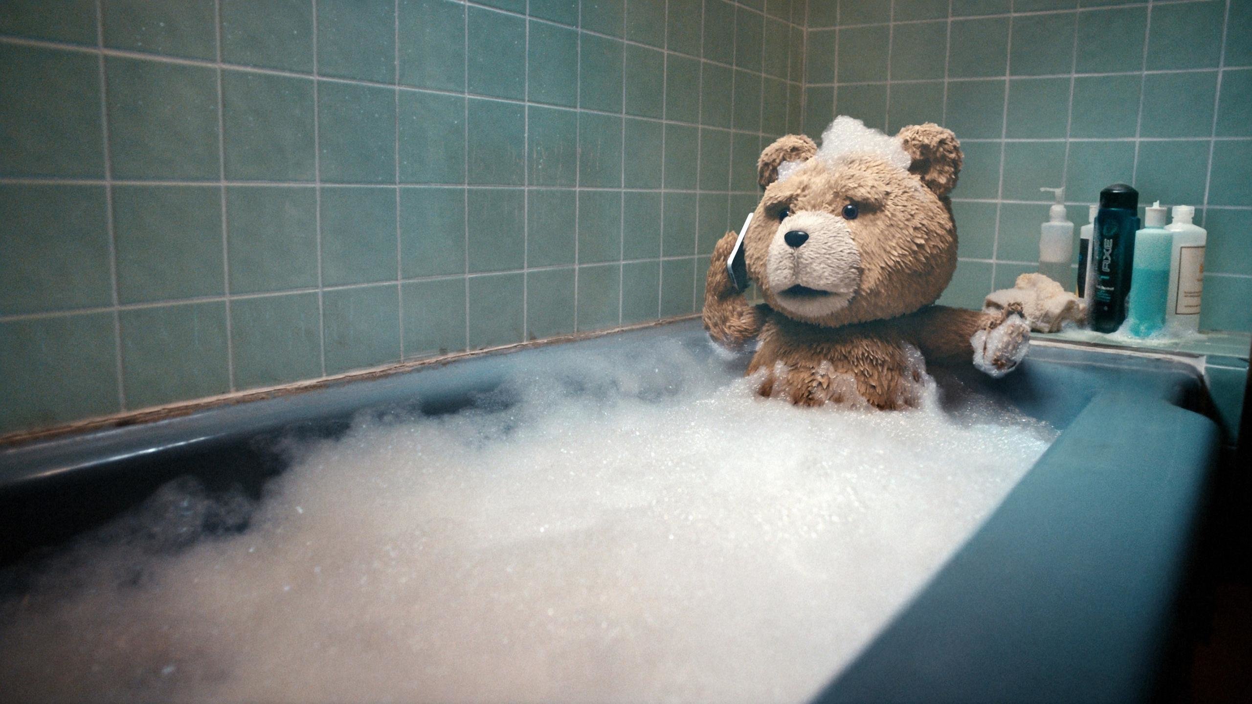 Free Ted high quality background ID:438389 for hd 2560x1440 desktop