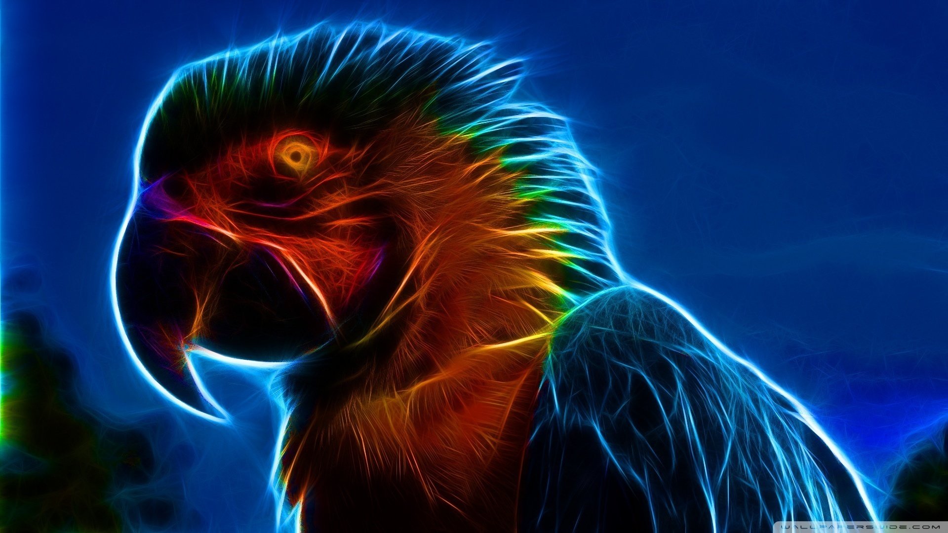 Free download Macaw wallpaper ID:46298 full hd 1920x1080 for computer