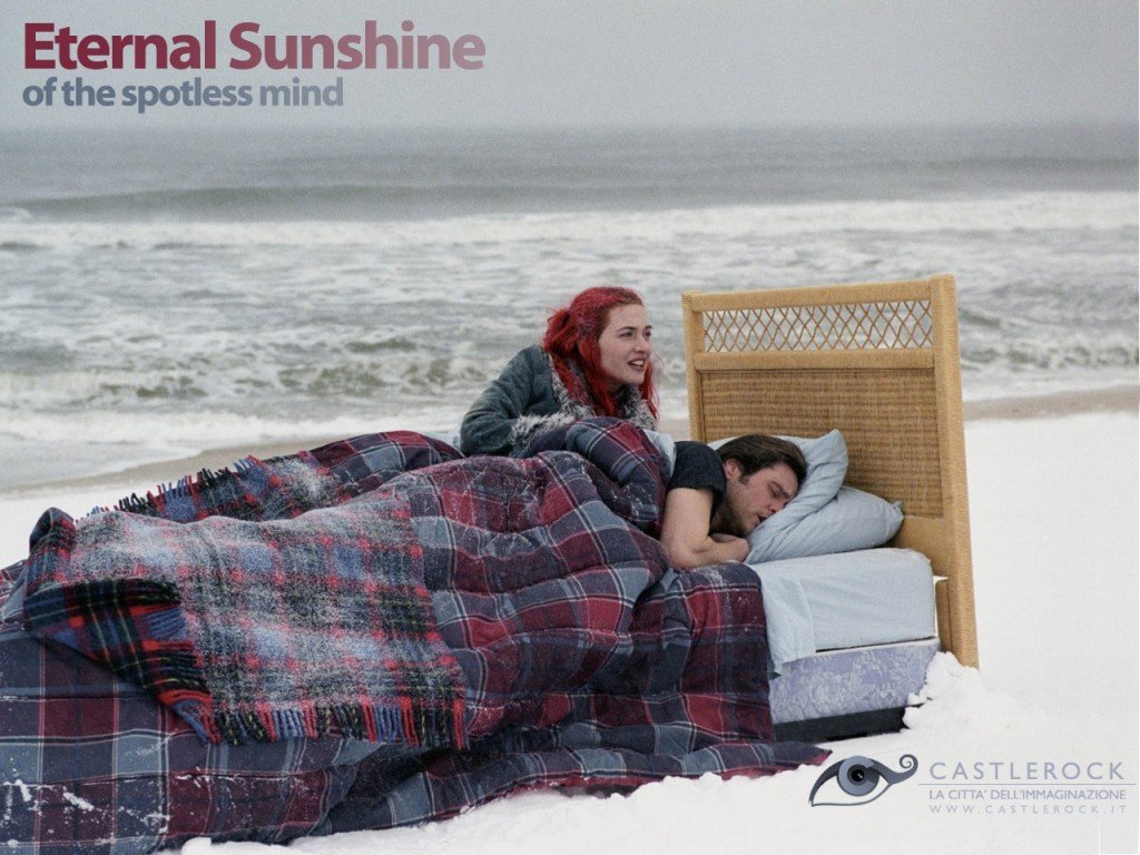 Download hd 1024x768 Eternal Sunshine Of The Spotless Mind desktop background ID:30314 for free