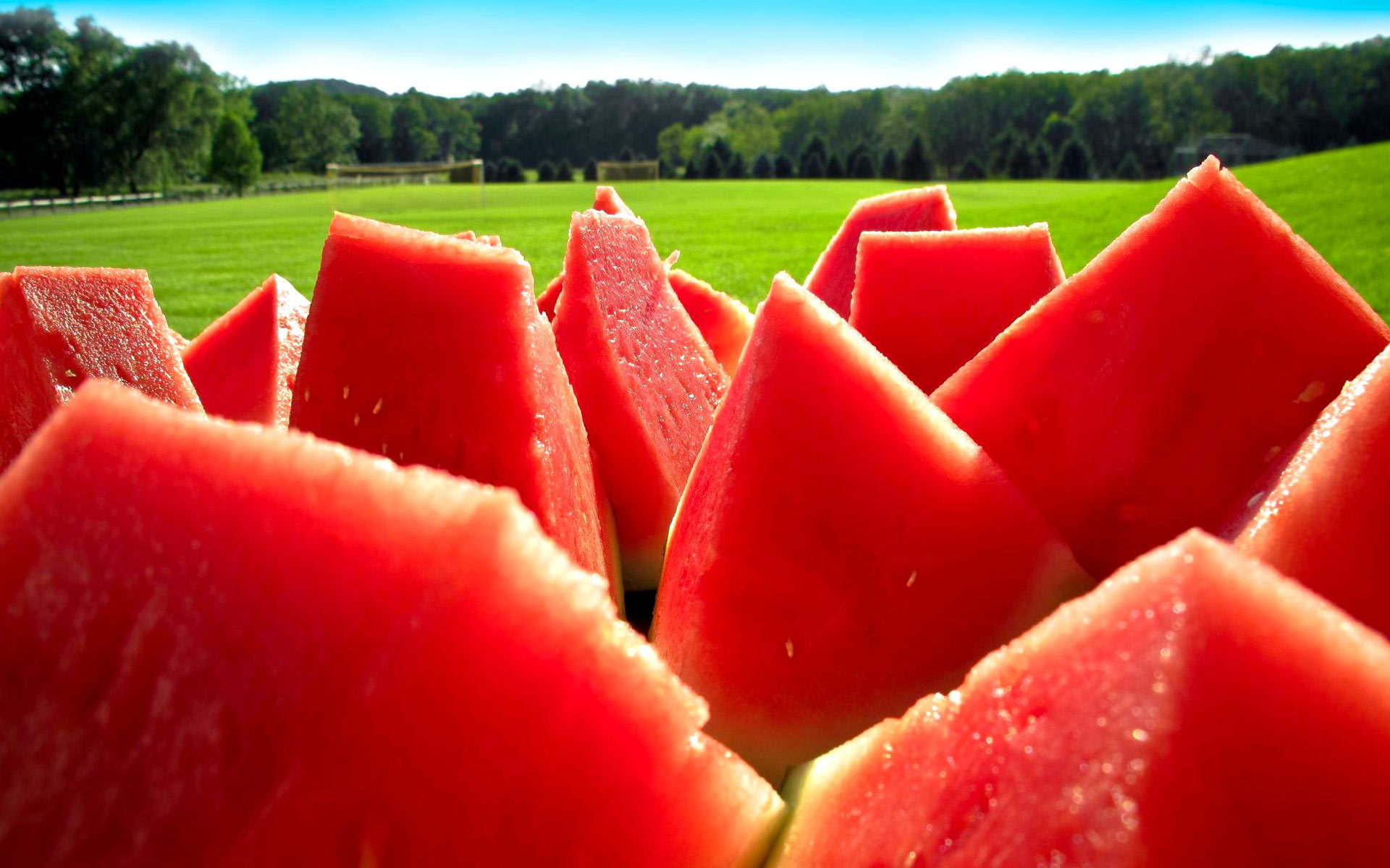 High resolution Watermelon hd 1920x1200 background ID:162630 for computer