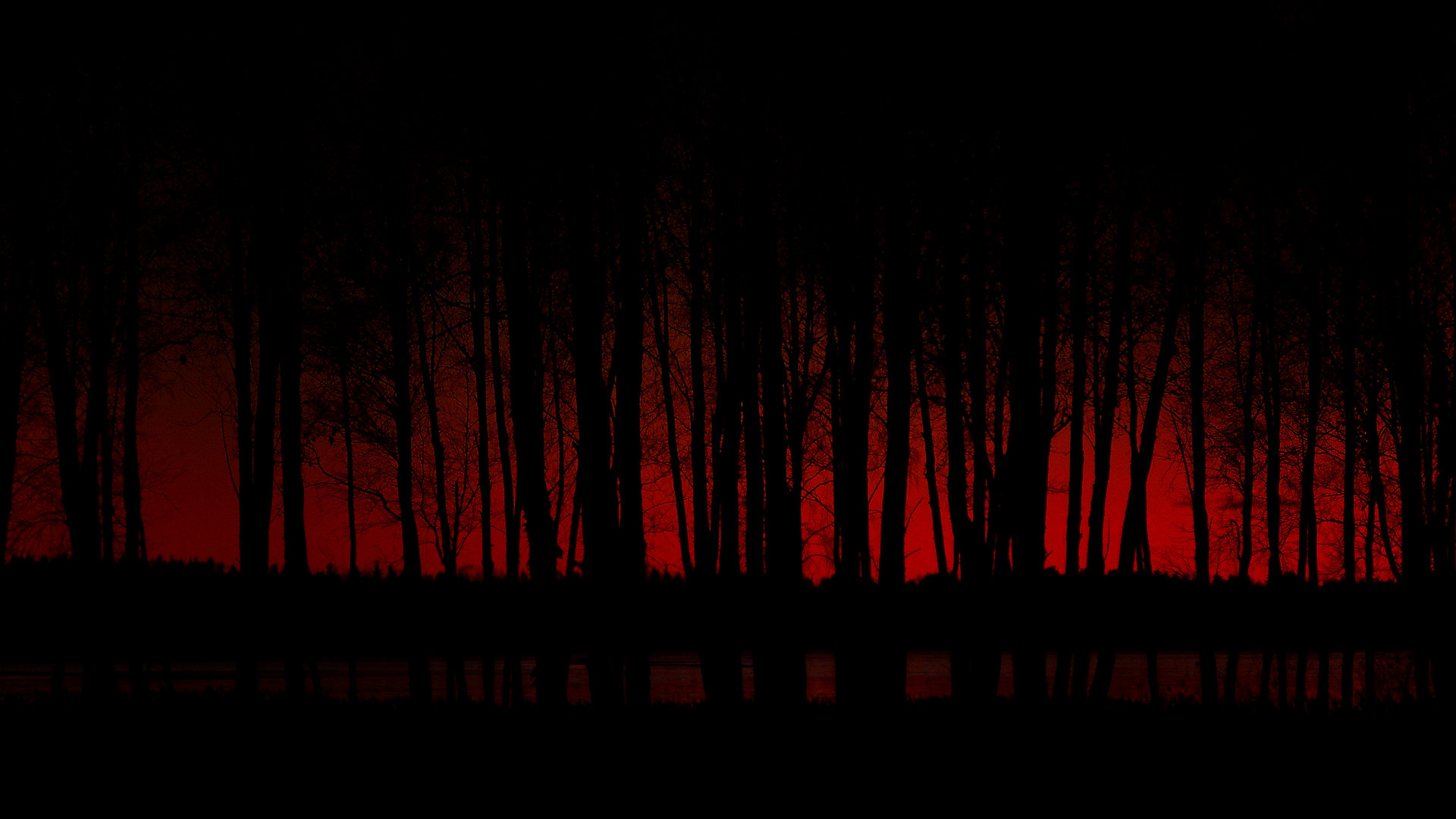 Dark forest wallpapers 1920x1080 Full HD (1080p) desktop backgrounds