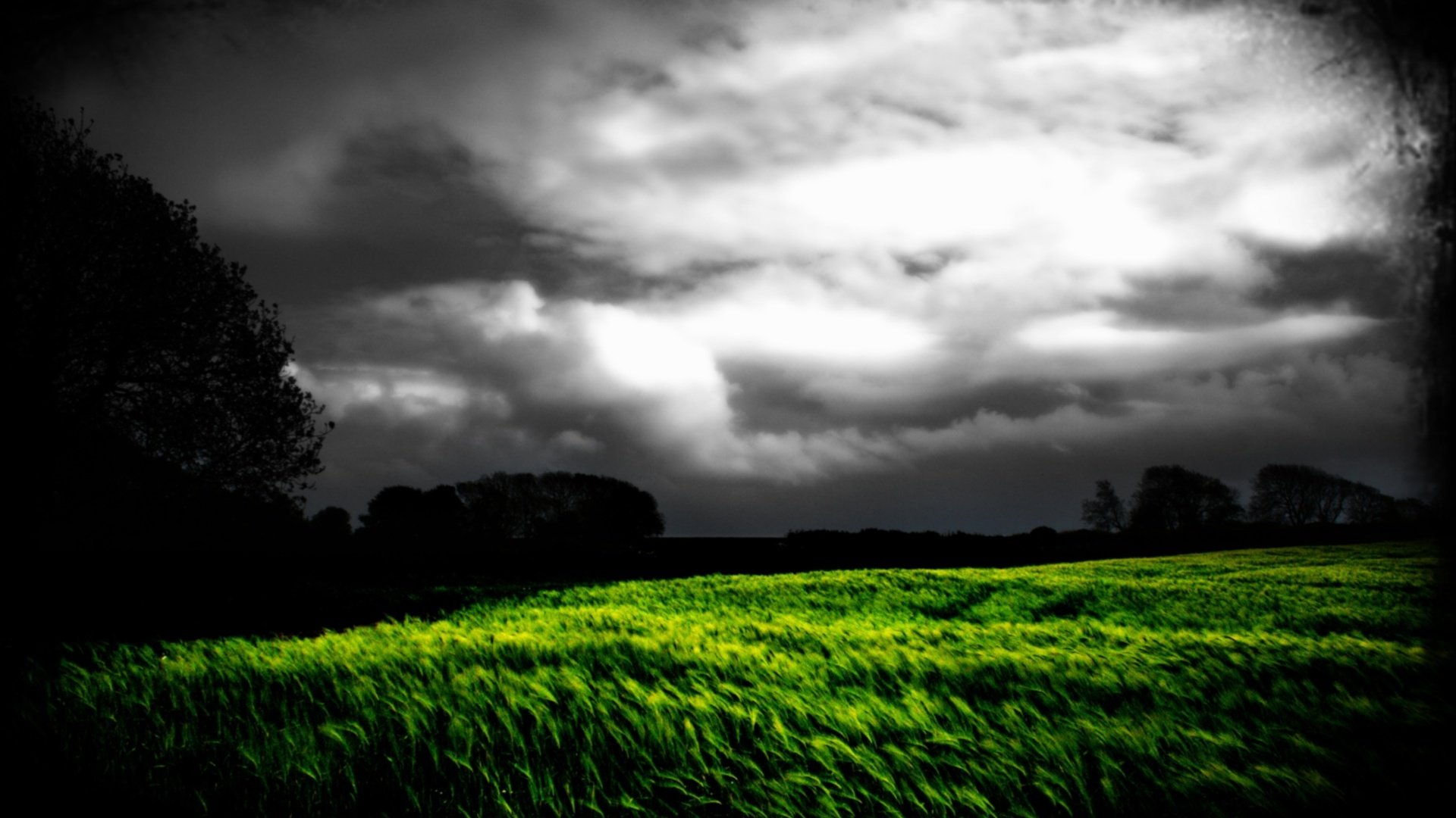 Best Field background ID:70986 for High Resolution full hd 1920x1080 PC