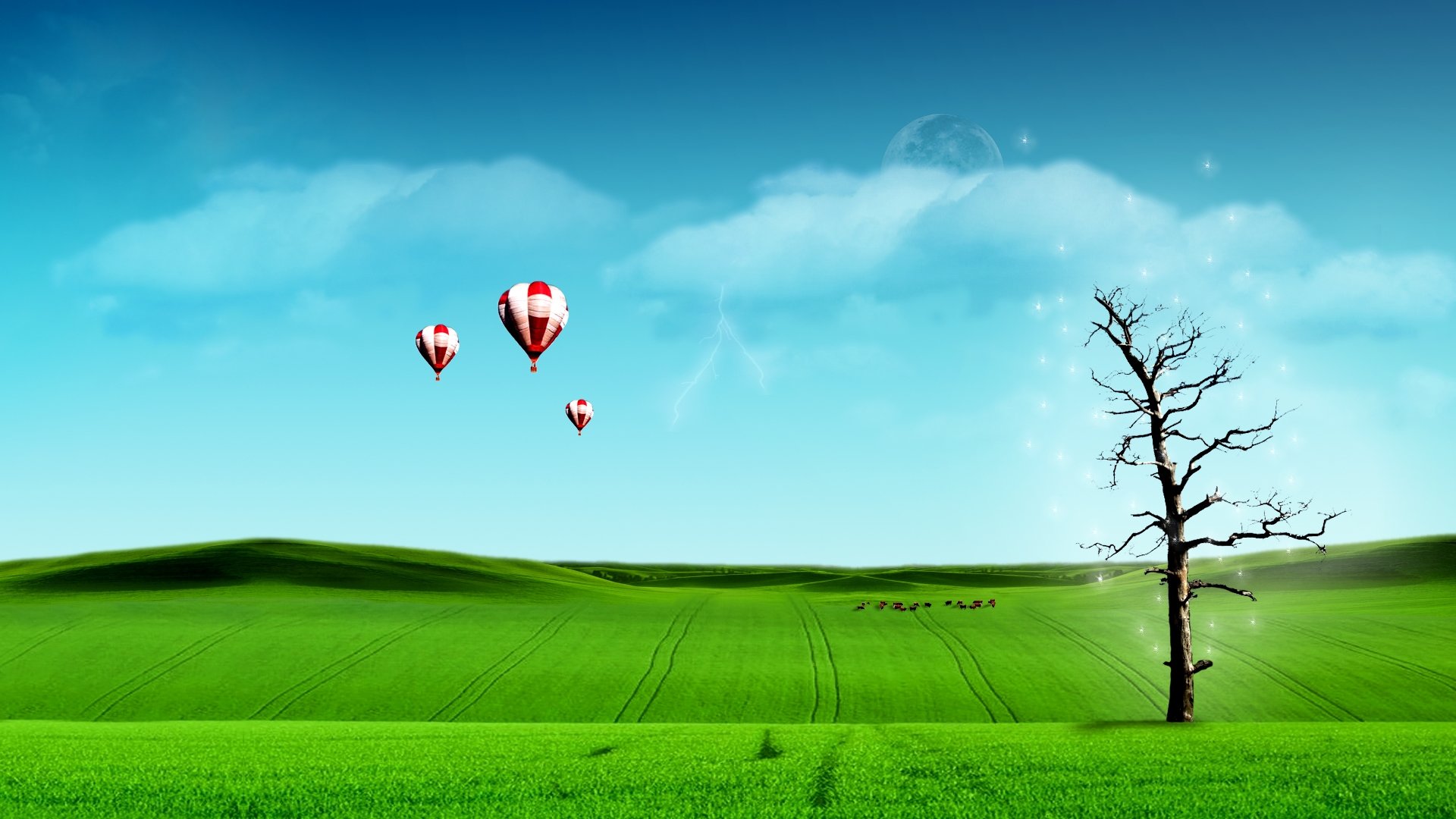 Free download Hot Air Balloon wallpaper ID:478568 full hd 1080p for desktop