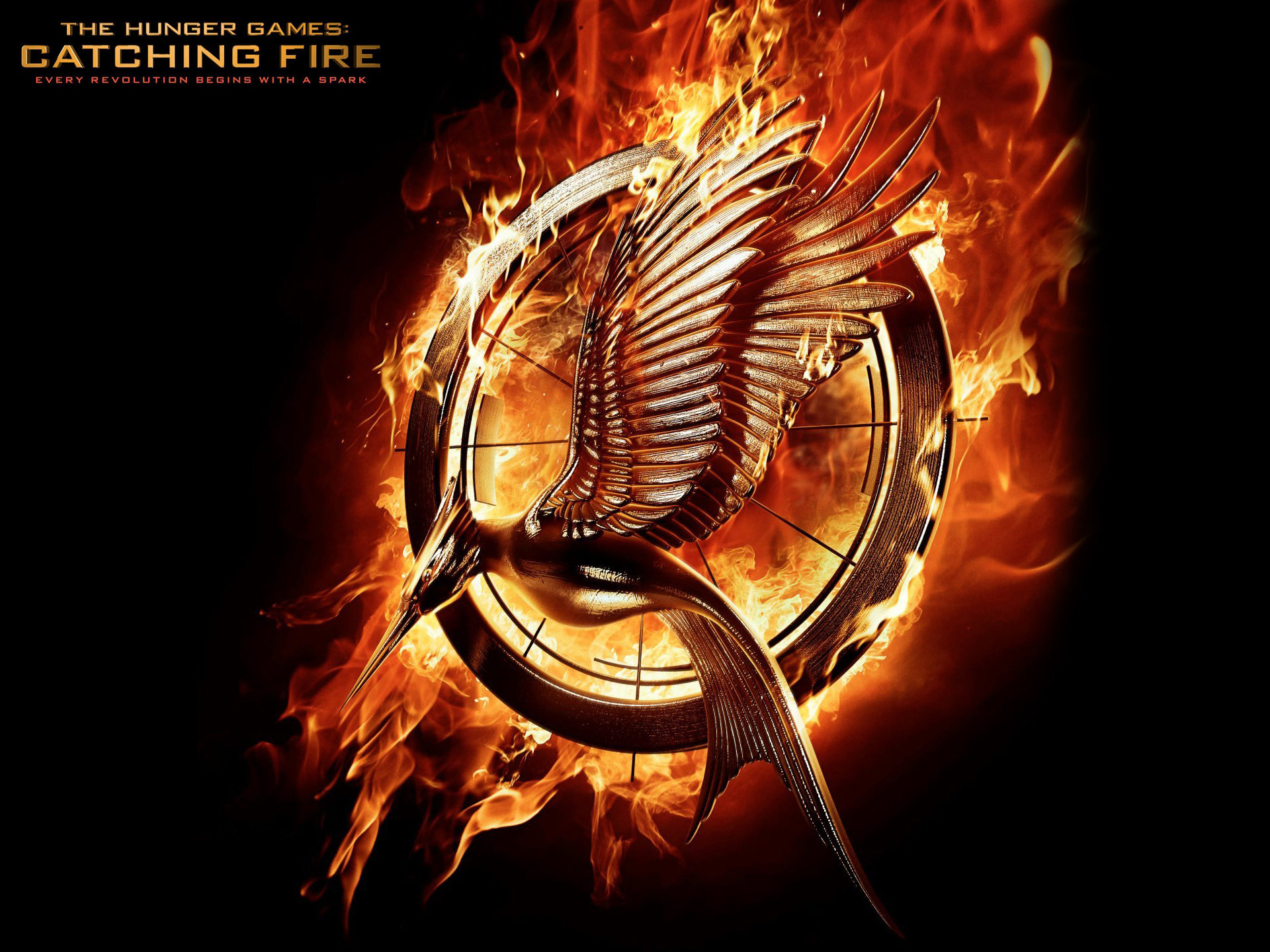 High resolution The Hunger Games: Catching Fire hd 1920x1440 background ID:403375 for desktop
