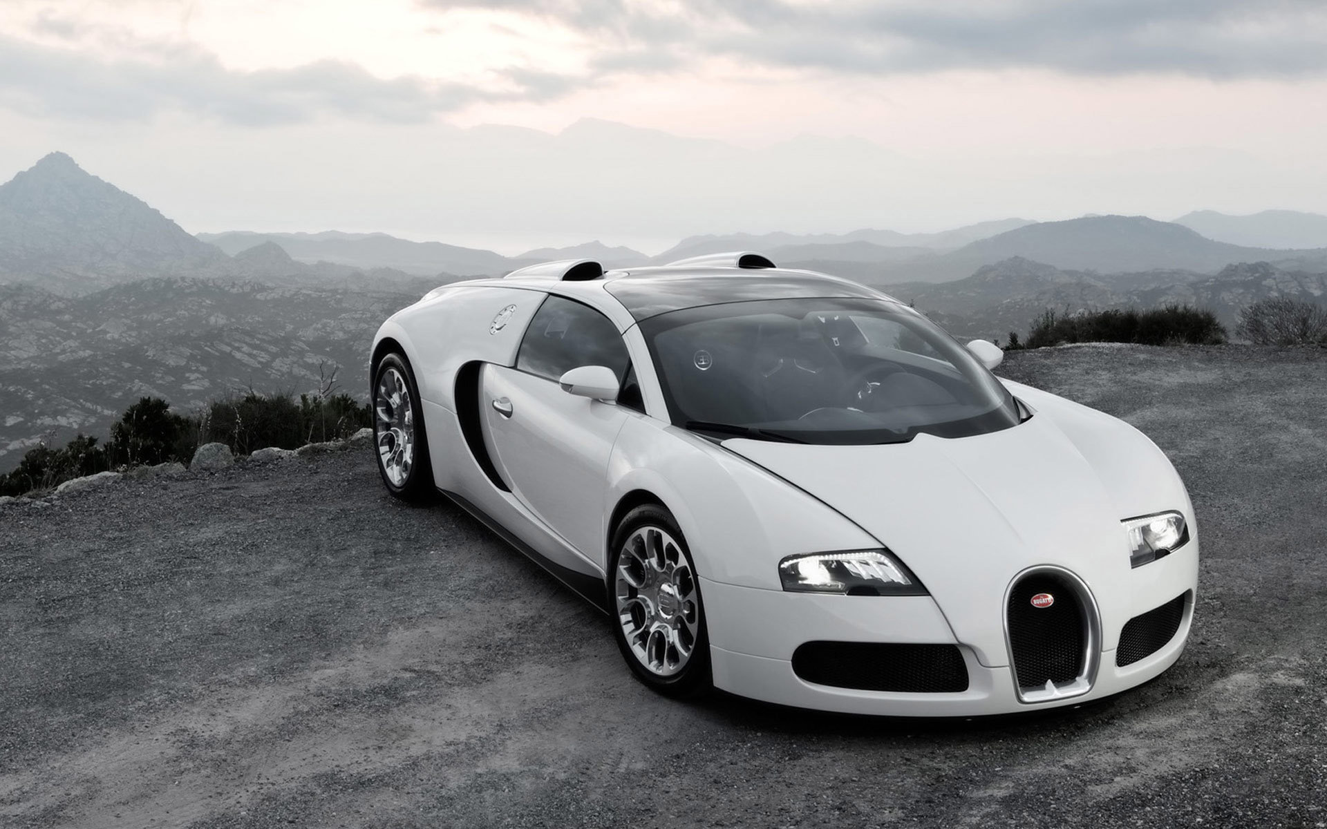 Free download Bugatti Veyron background ID:298011 hd 1920x1200 for computer