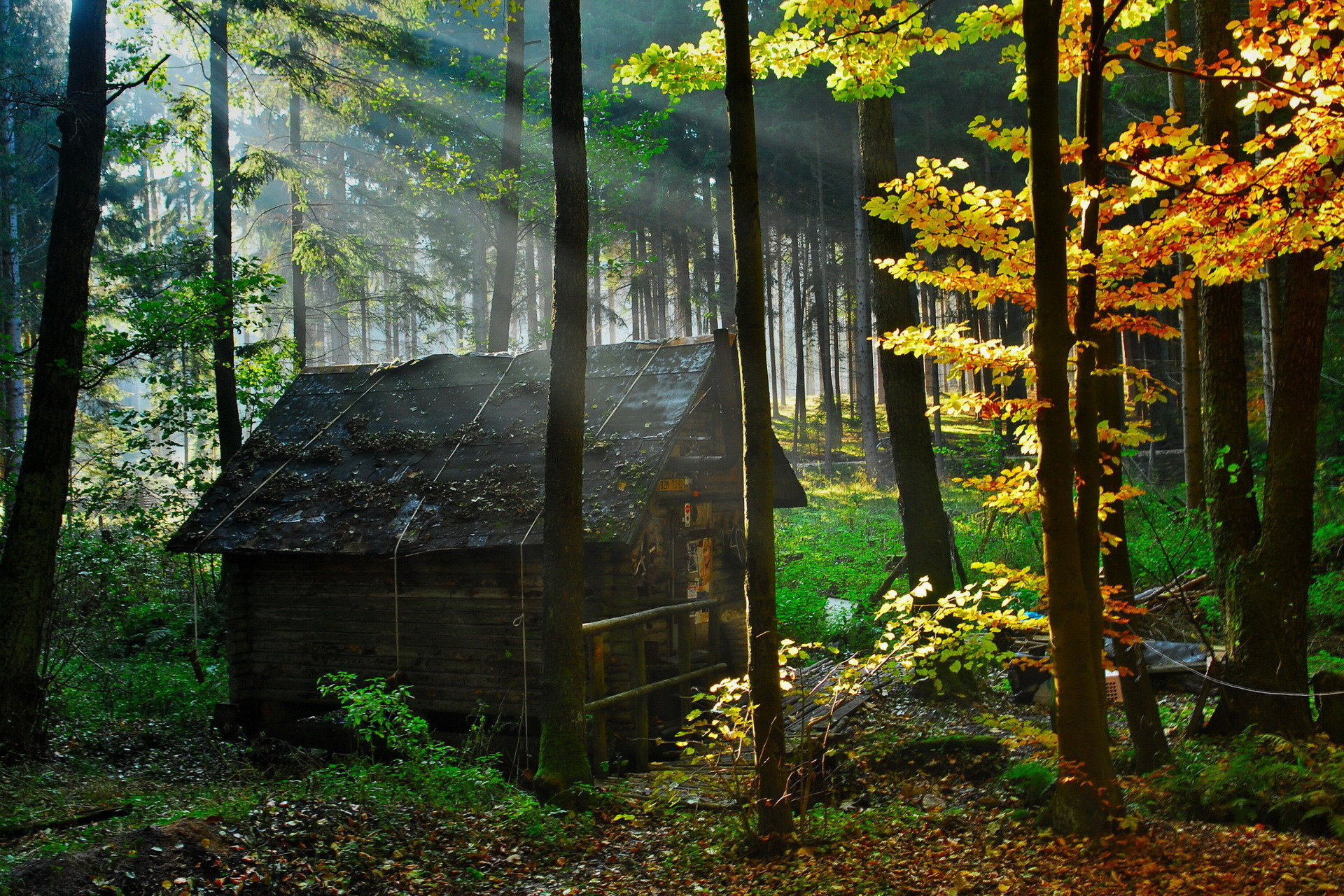 Free download Cabin background ID:485750 hd 1920x1280 for computer
