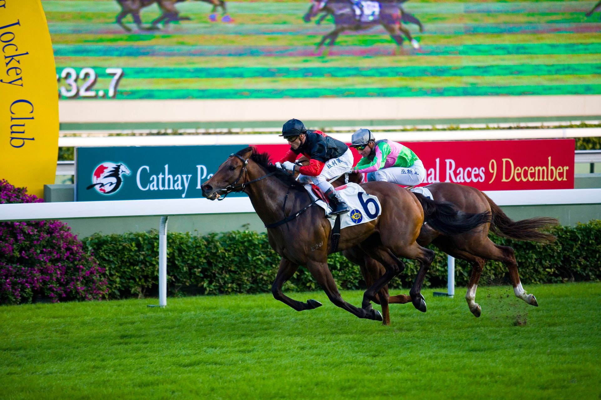 High resolution Horse Racing hd 1920x1280 background ID:174315 for computer