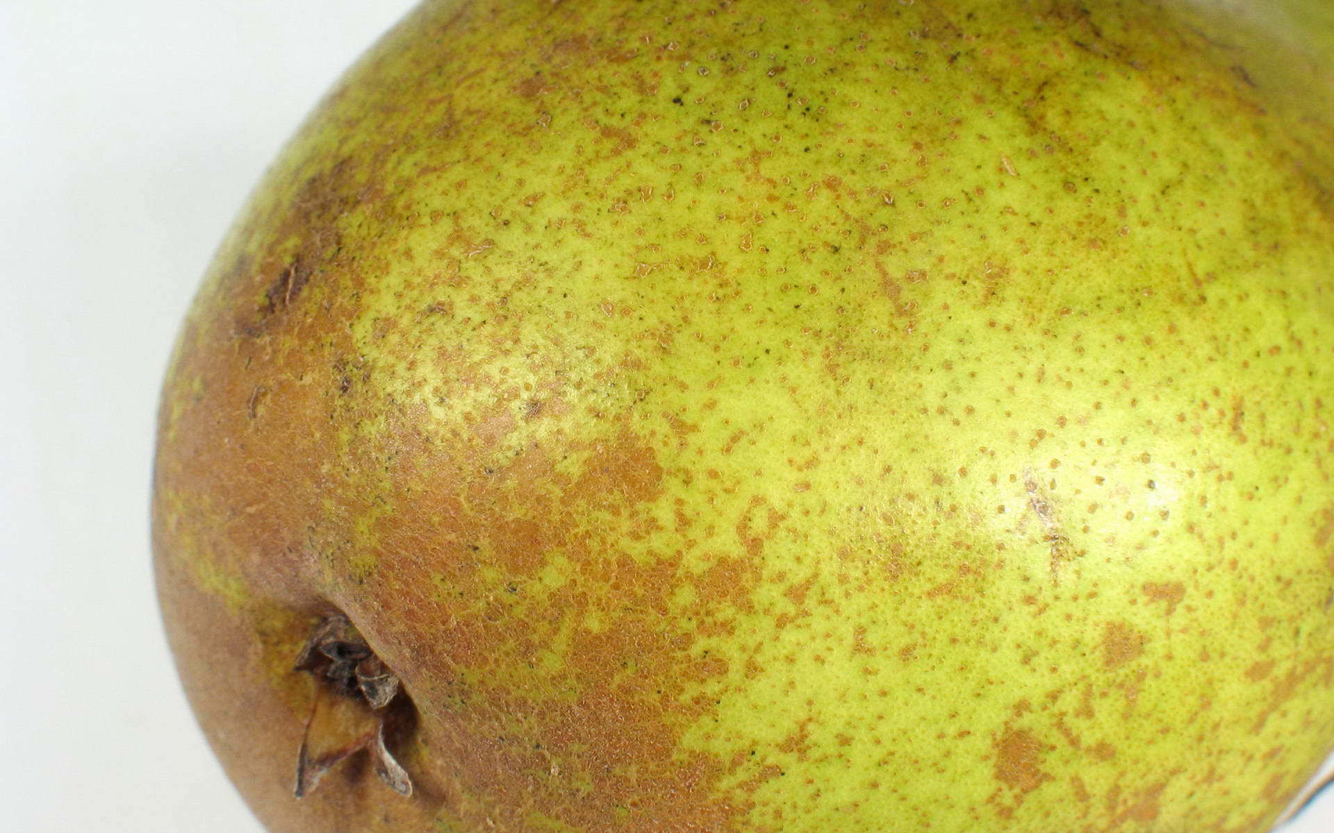 Awesome Pear free wallpaper ID:342053 for hd 1920x1200 computer