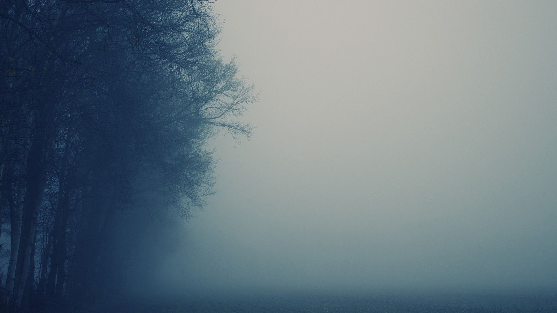Best Fog background ID:400476 for High Resolution full hd 1920x1080 computer