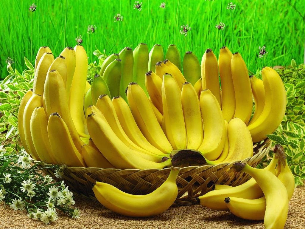 Awesome Banana free background ID:463182 for hd 1024x768 computer