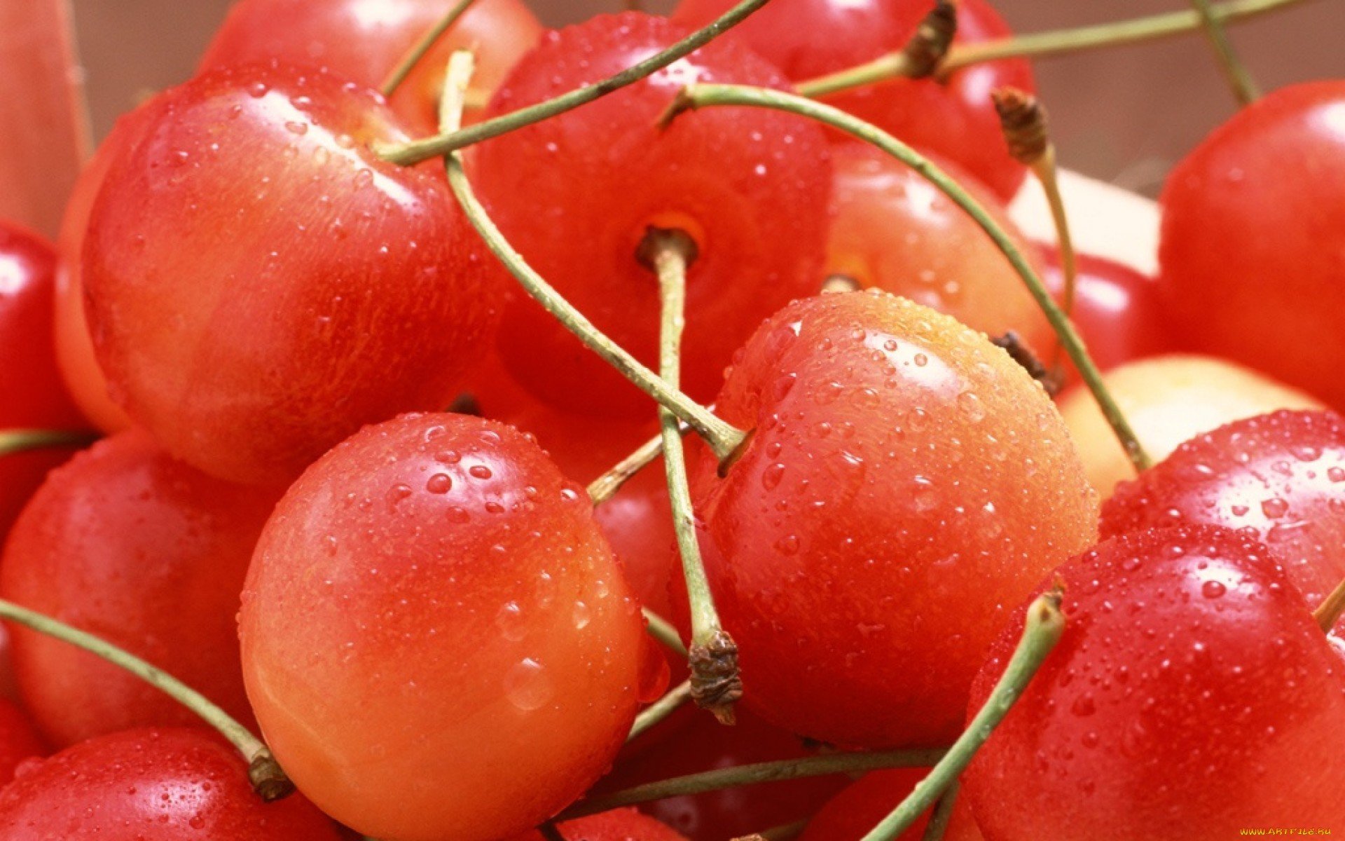 Awesome Cherry free background ID:141840 for hd 1920x1200 desktop