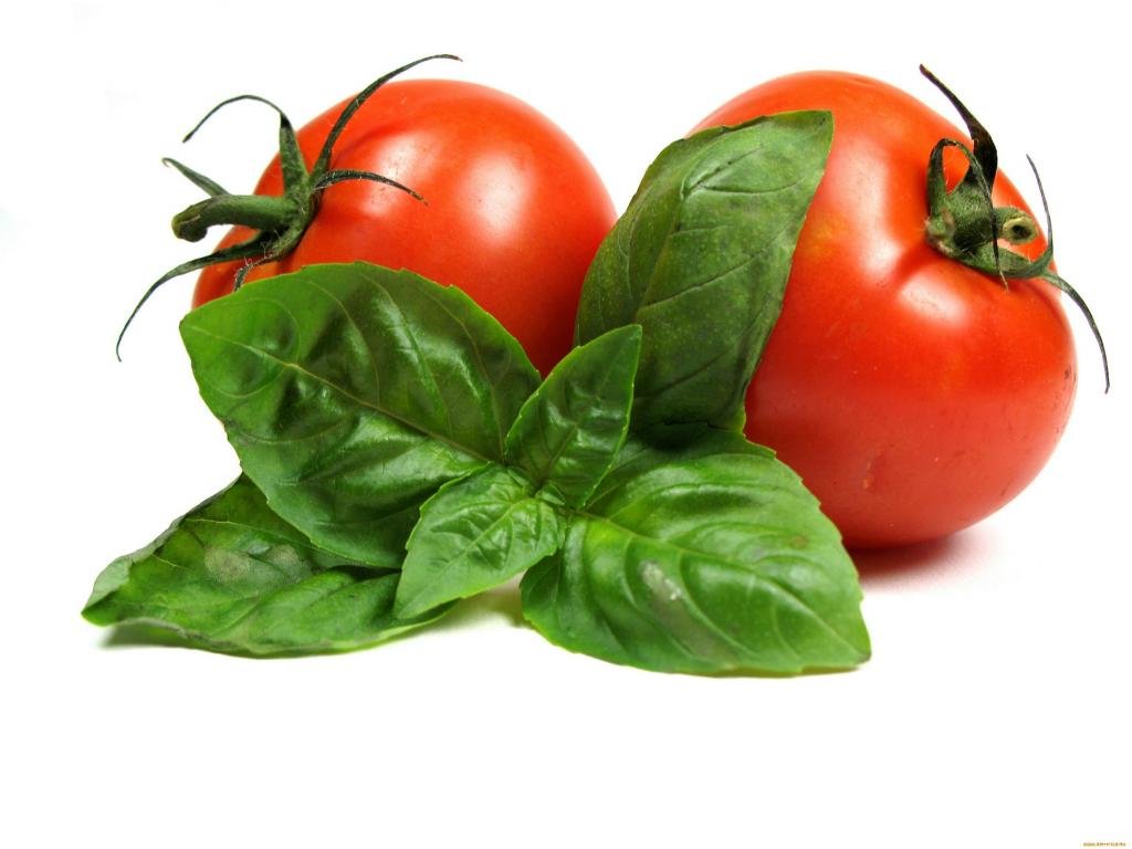 Free Tomato high quality wallpaper ID:95400 for hd 1024x768 computer