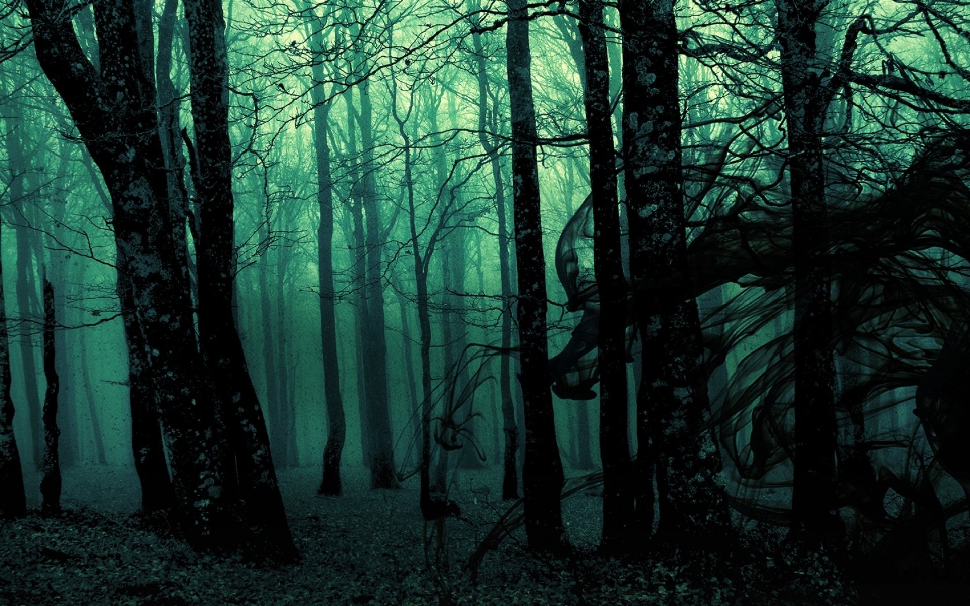 Awesome Dark forest free wallpaper ID:90349 for hd 1920x1200 computer