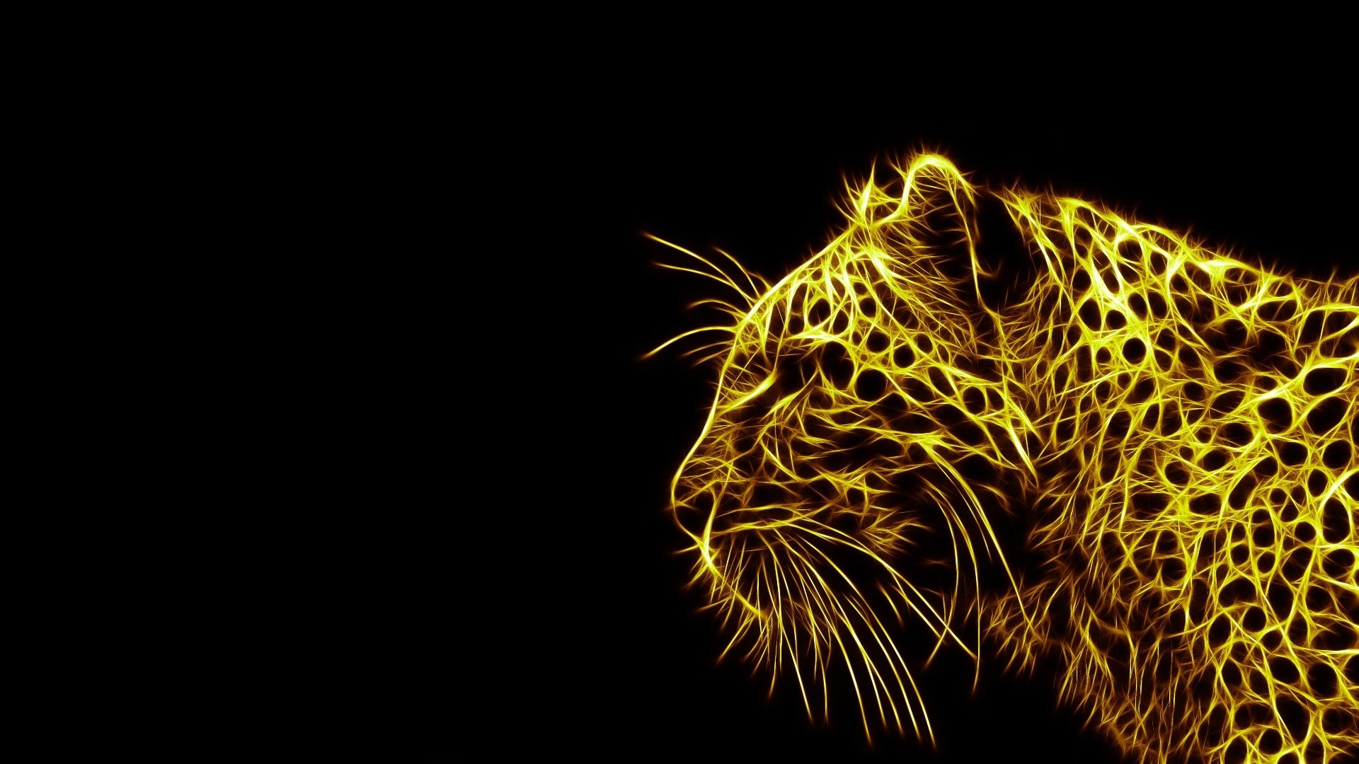High resolution Leopard 1080p wallpaper ID:447942 for PC