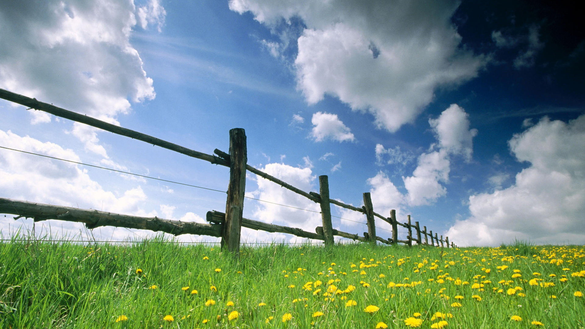 Download full hd 1920x1080 Fence PC wallpaper ID:23084 for free