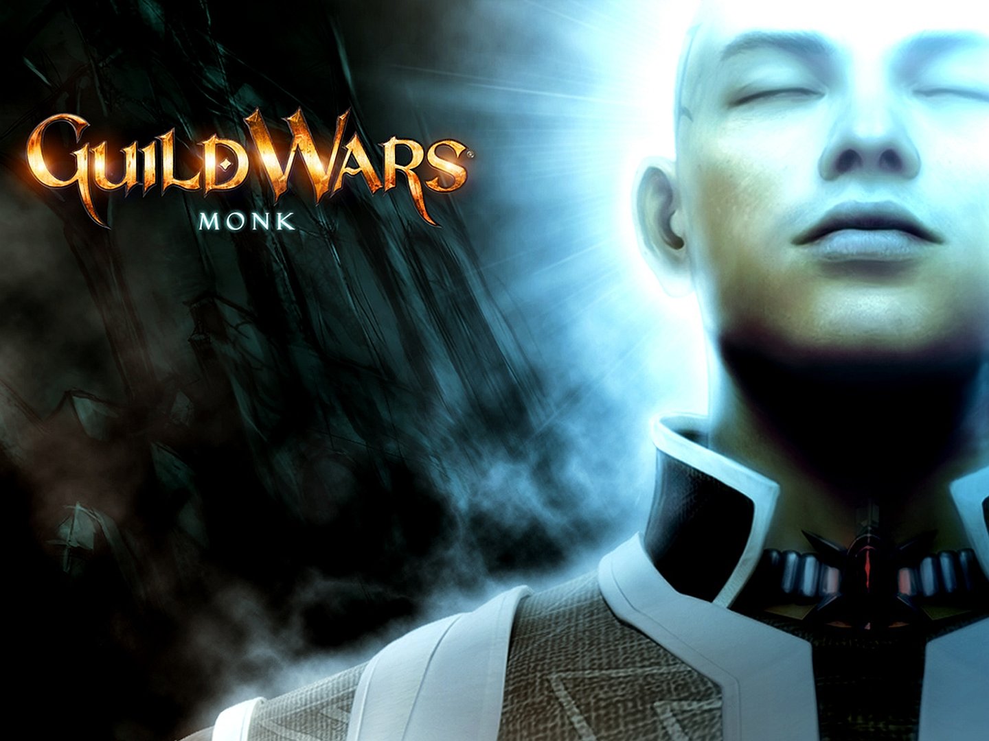 Free Guild Wars high quality background ID:53823 for hd 1440x1080 PC