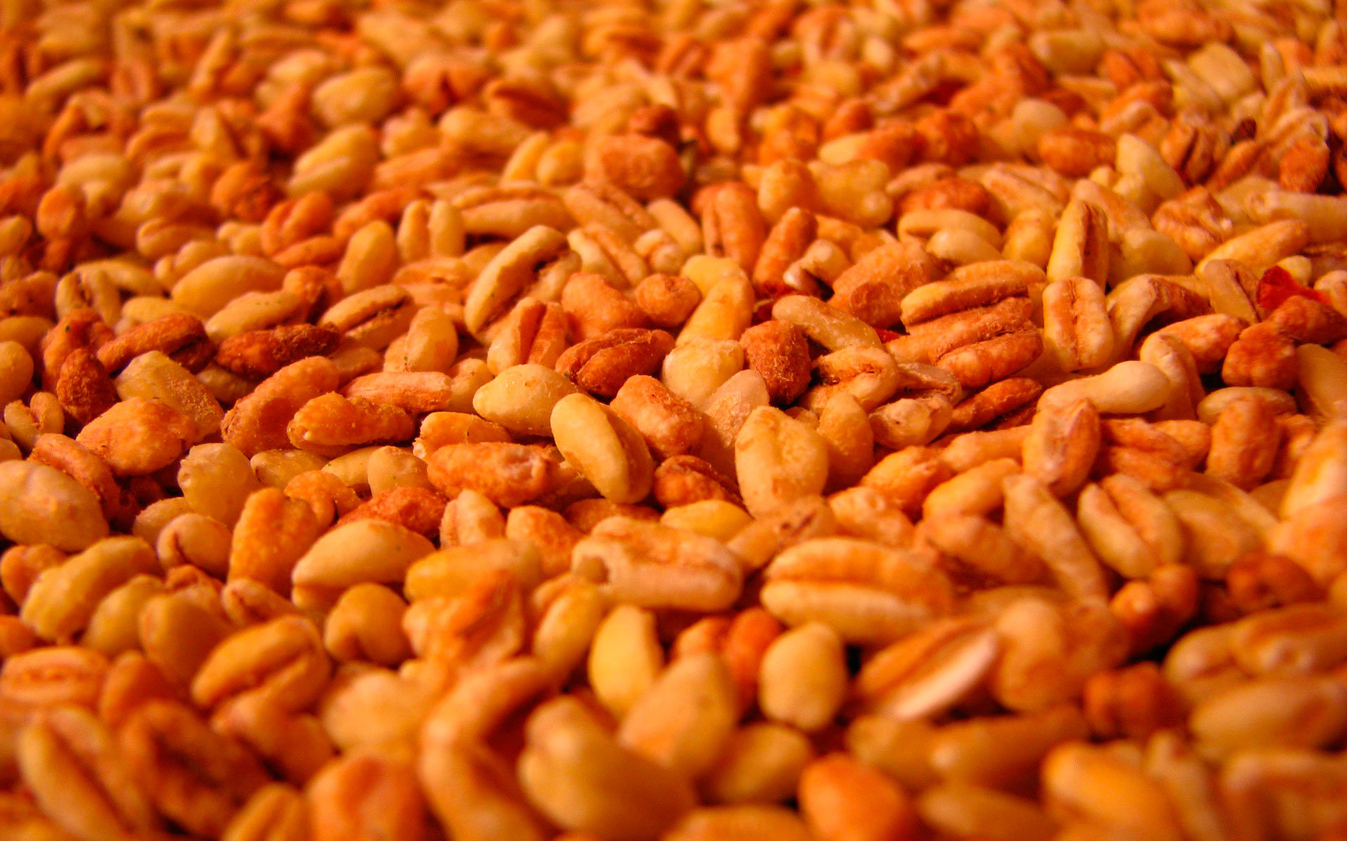 Free Nut high quality background ID:391304 for hd 1920x1200 desktop