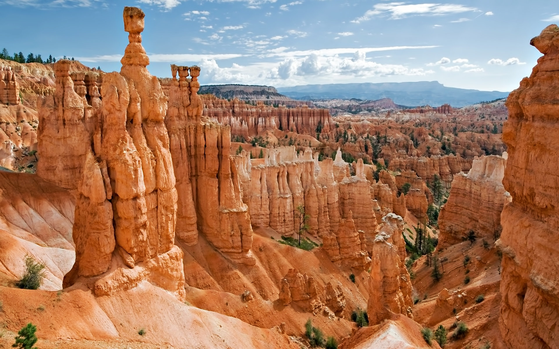 High resolution Bryce Canyon National Park hd 1920x1200 wallpaper ID:358136 for PC