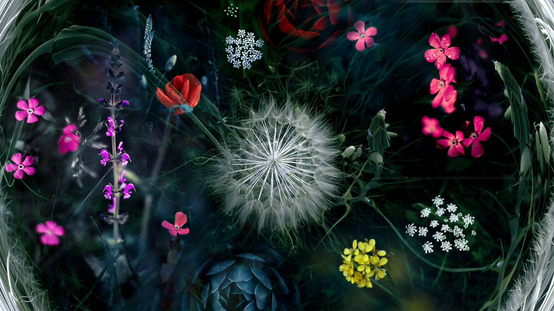 Download 1080p Cool flower desktop wallpaper ID:75740 for free