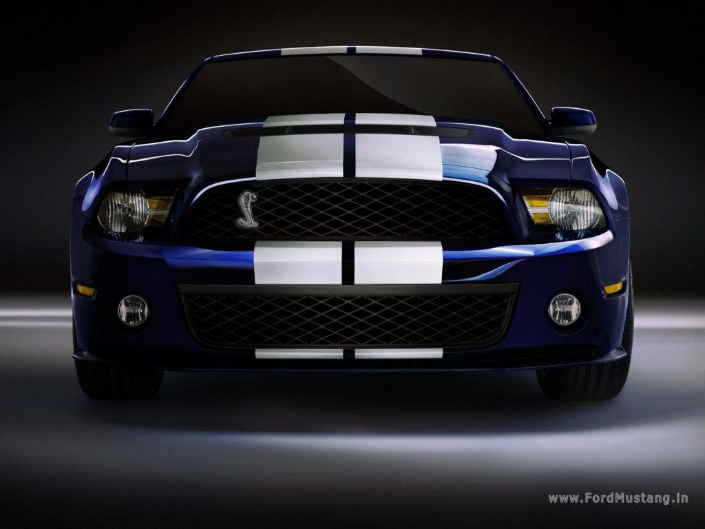 Best Ford Mustang Shelby GT500 Cobra background ID:239895 for High Resolution hd 1024x768 computer