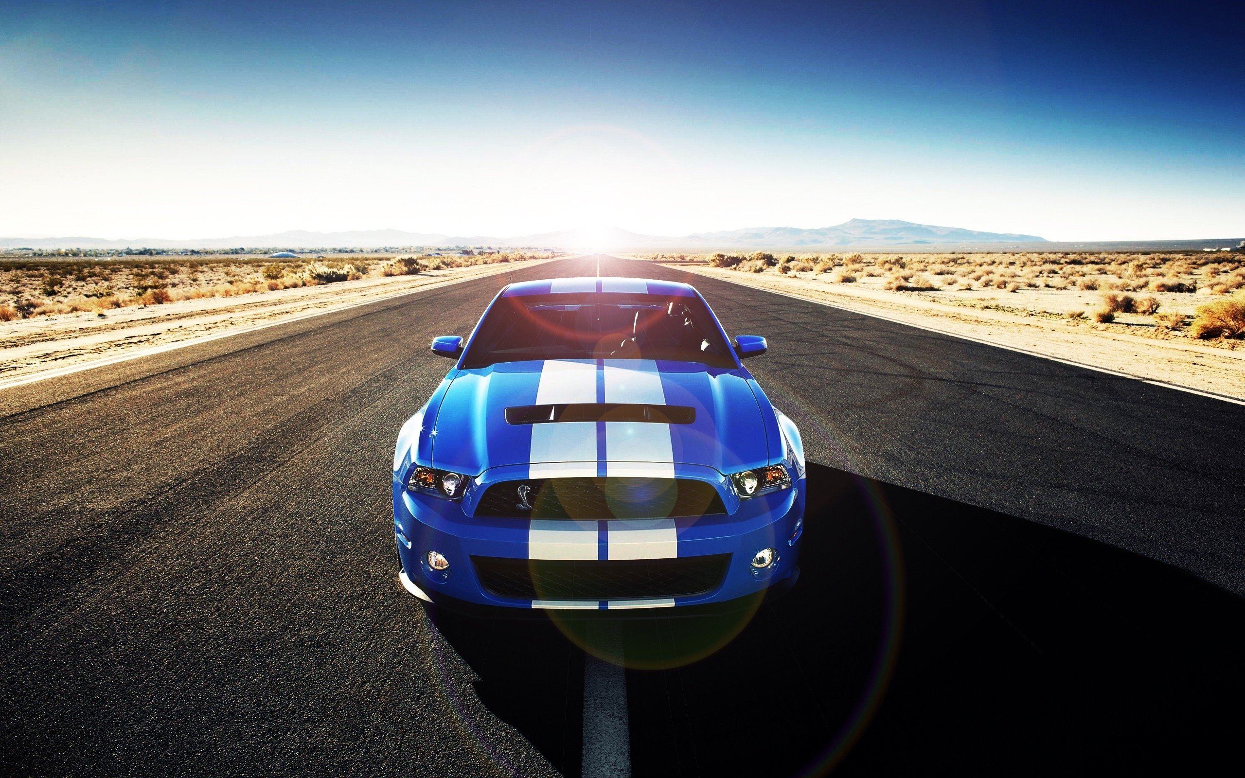 Best Ford Mustang Shelby GT500 Cobra background ID:239896 for High Resolution hd 2560x1600 desktop