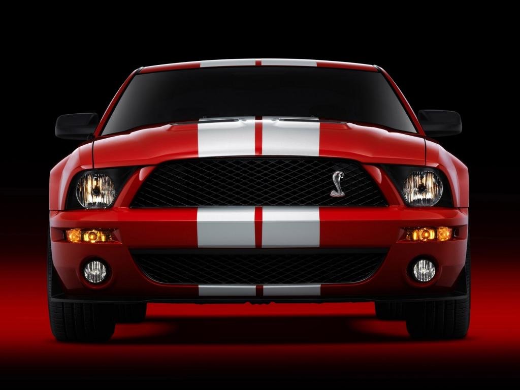 High resolution Ford Mustang Shelby GT500 Cobra hd 1024x768 wallpaper ID:239894 for computer