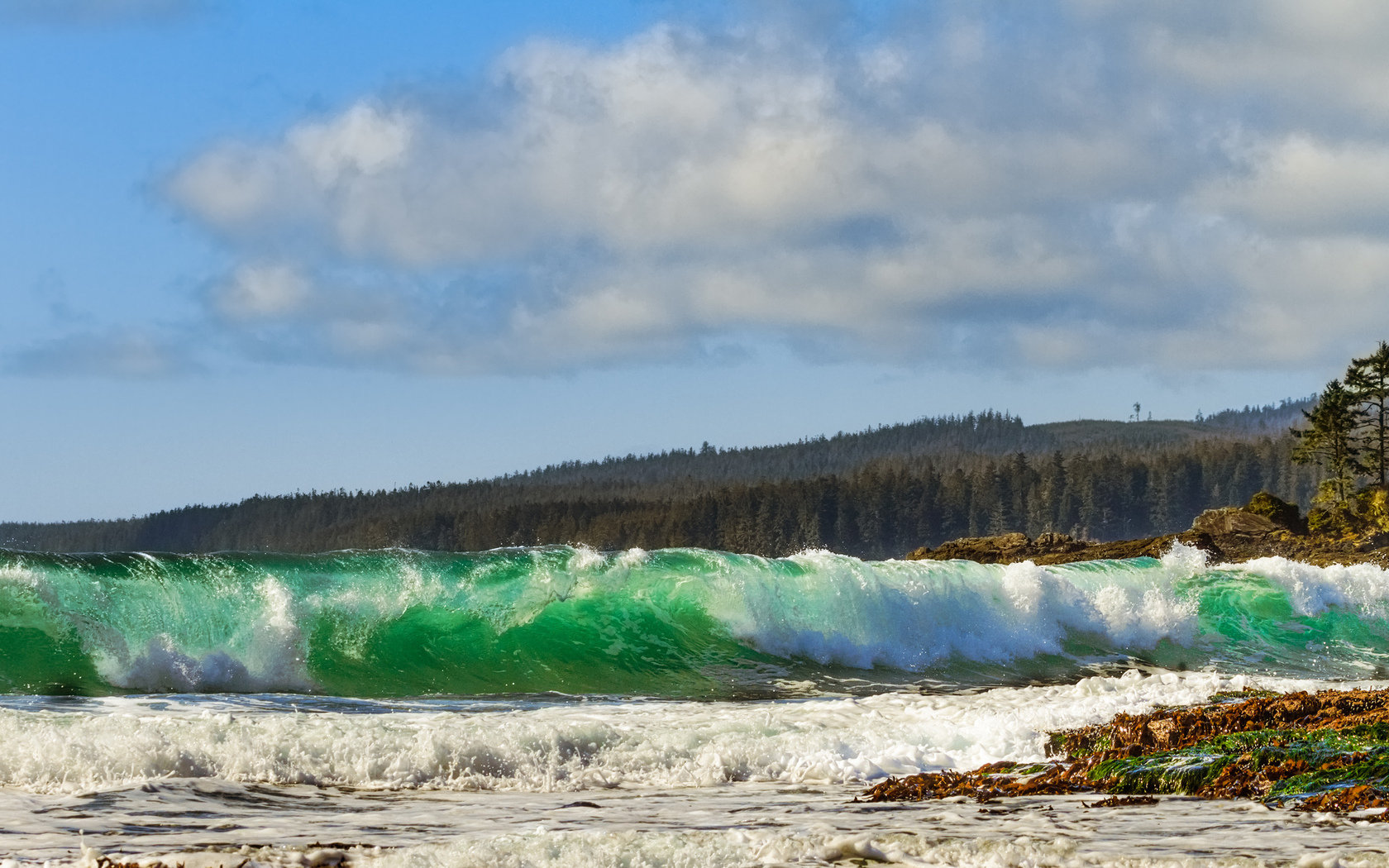 Free download Wave wallpaper ID:384734 hd 1680x1050 for PC