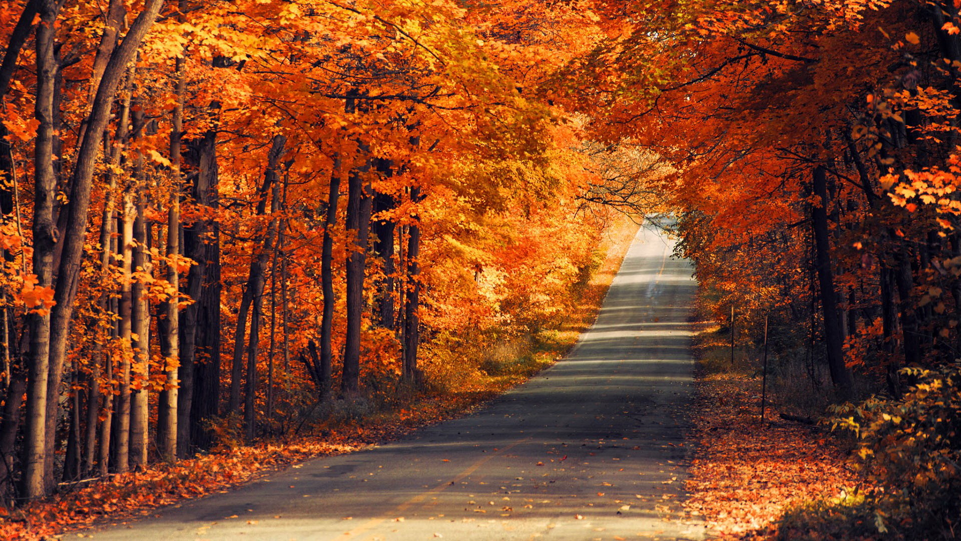 Awesome Road free wallpaper ID:491935 for full hd 1920x1080 desktop
