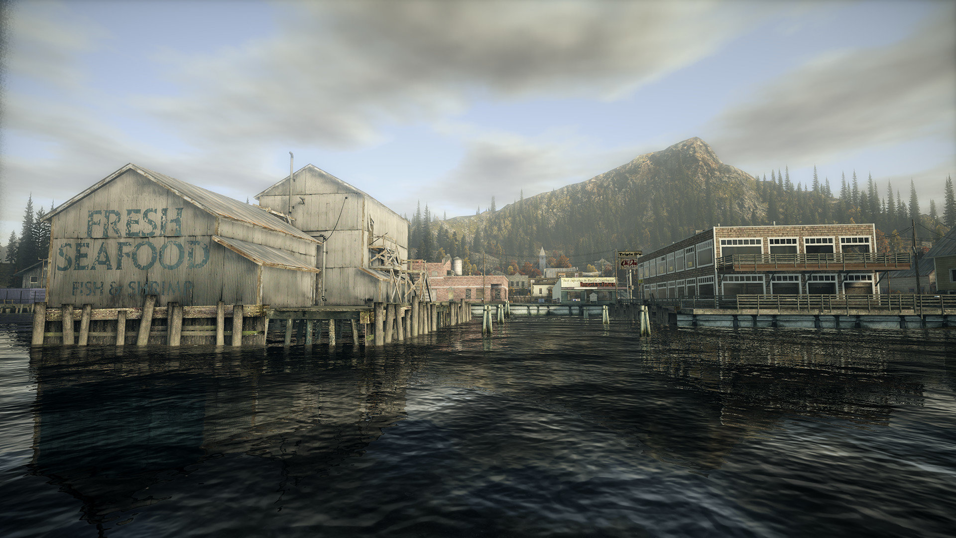 Awesome Alan Wake free background ID:40568 for hd 1080p PC