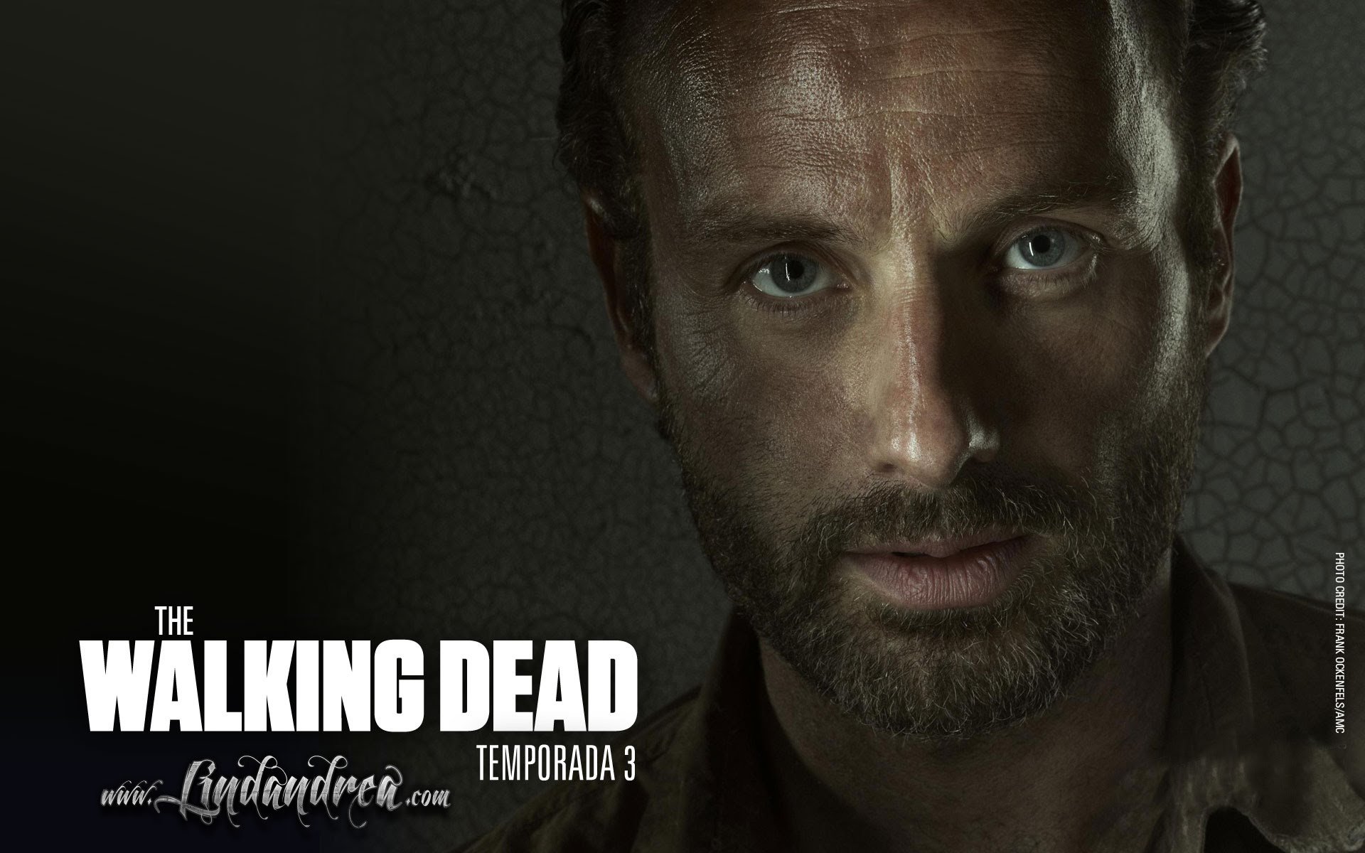 Free download Rick Grimes background ID:190273 hd 1920x1200 for PC