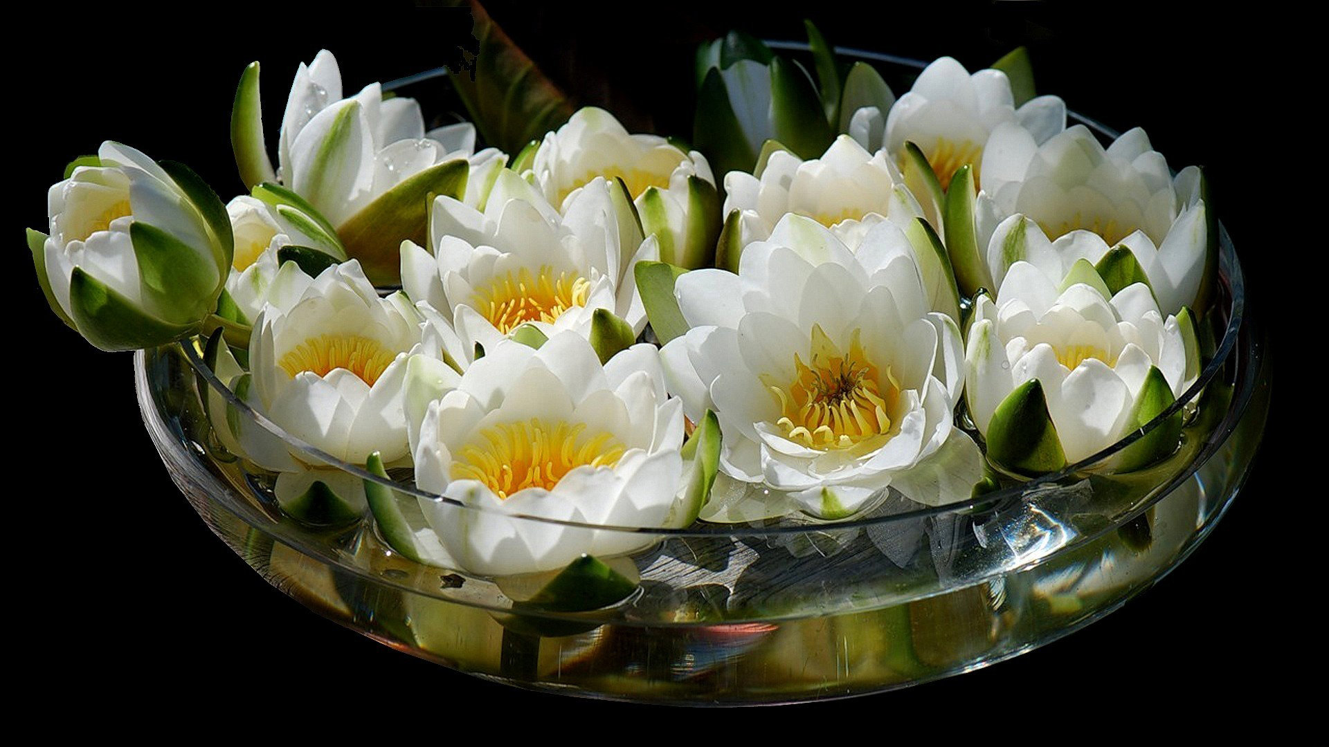 Best Flower bouquet wallpaper ID:179792 for High Resolution full hd 1080p desktop