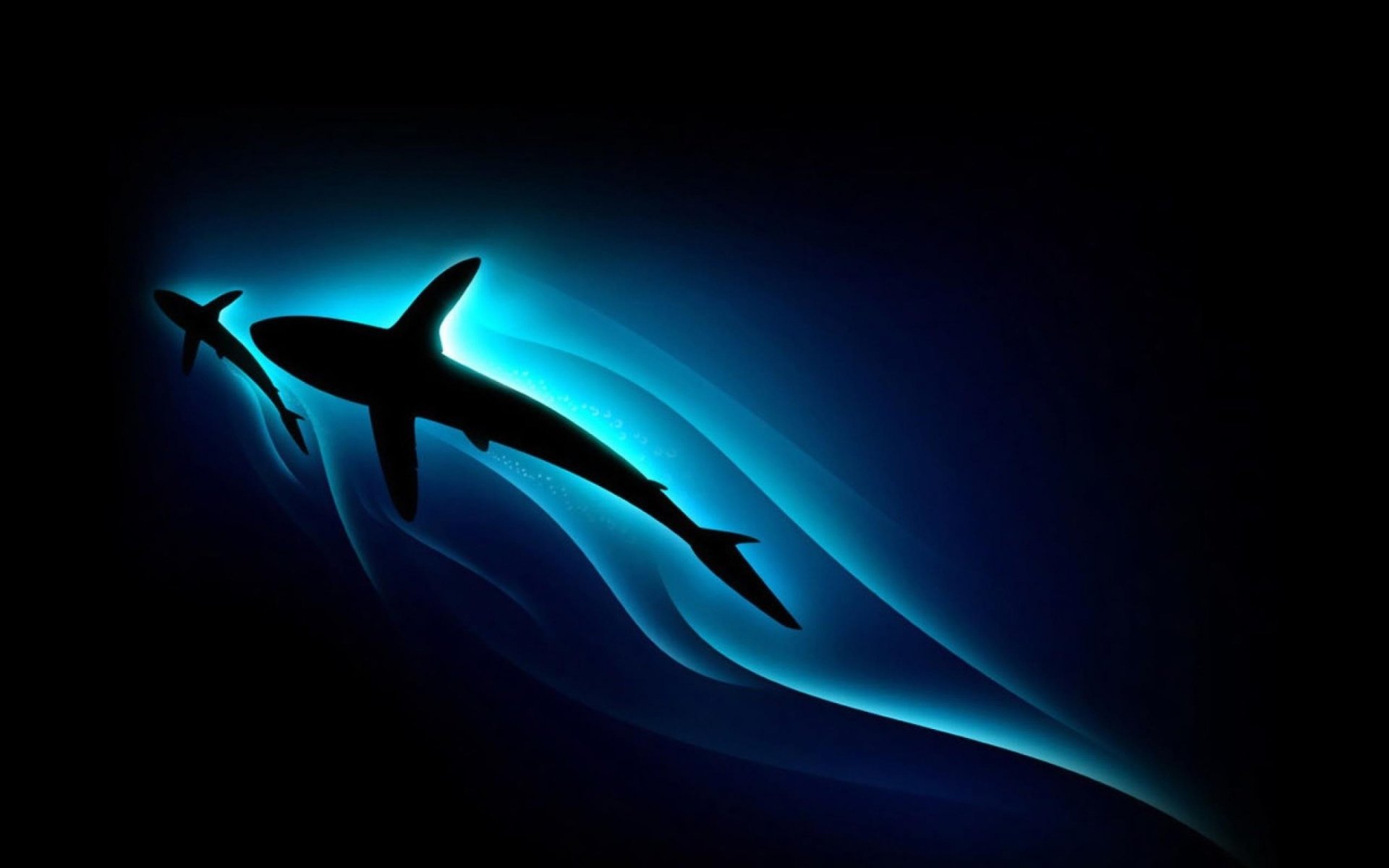 High resolution Shark hd 1920x1200 background ID:180609 for PC