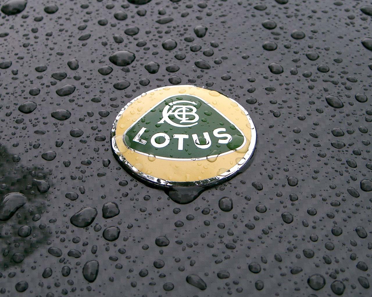 Best Lotus wallpaper ID:145638 for High Resolution hd 1280x1024 computer