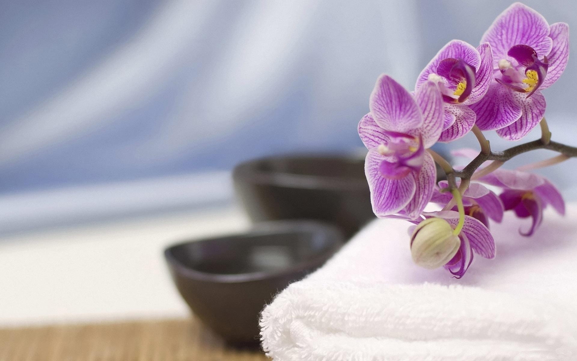Free Spa high quality wallpaper ID:218853 for hd 1920x1200 computer