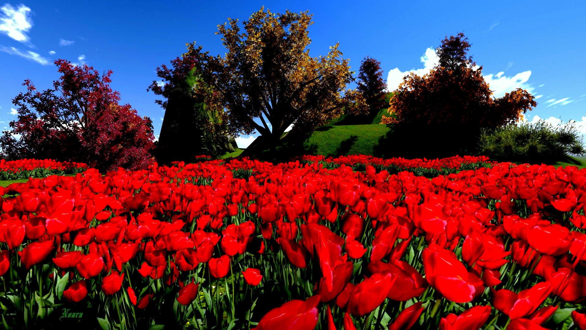 Free Tulip high quality background ID:157304 for hd 1920x1080 computer