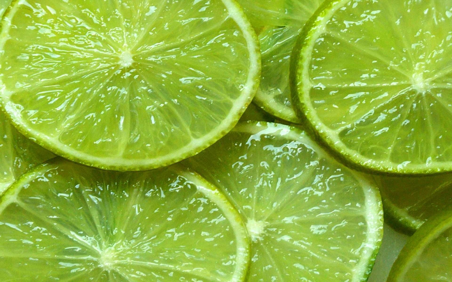 Download hd 1920x1200 Lime PC background ID:346787 for free