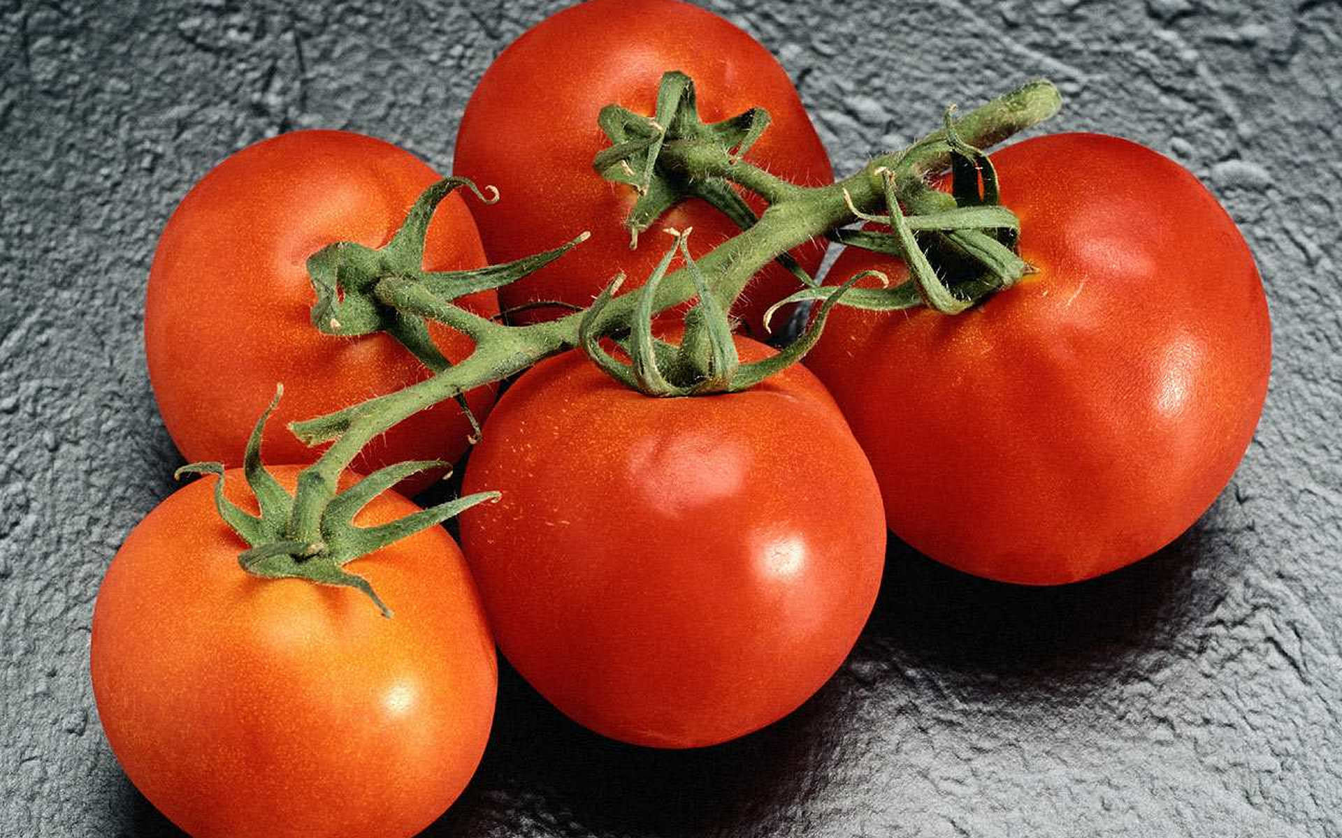 Free download Tomato background ID:95426 hd 1920x1200 for computer