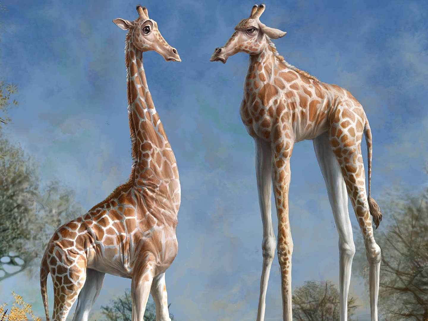 Awesome Giraffe free wallpaper ID:332600 for hd 1440x1080 computer