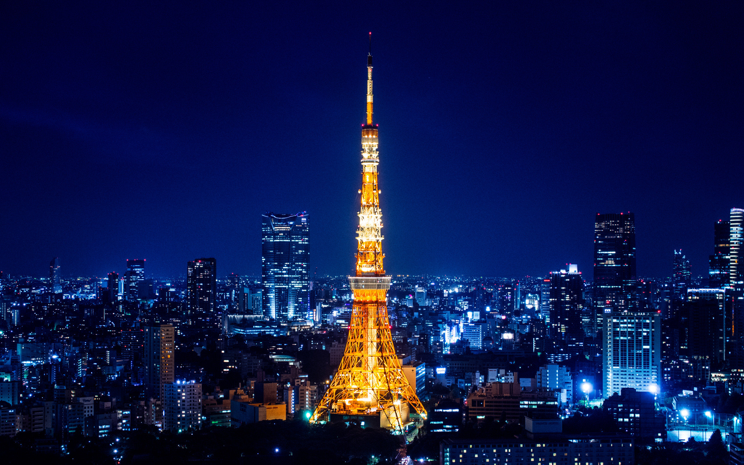 Free Tokyo high quality background ID:485036 for hd 2560x1600 PC