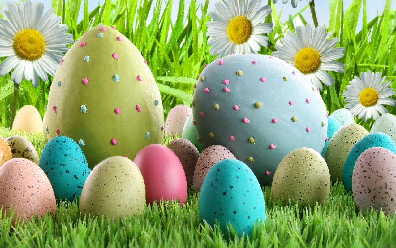 Download hd 1280x800 Easter computer background ID:324738 for free